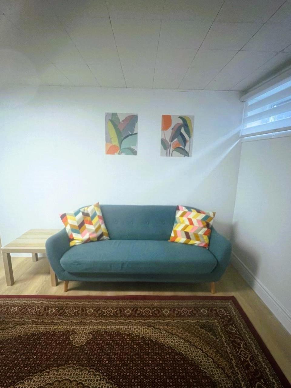 Millpond Basement Units