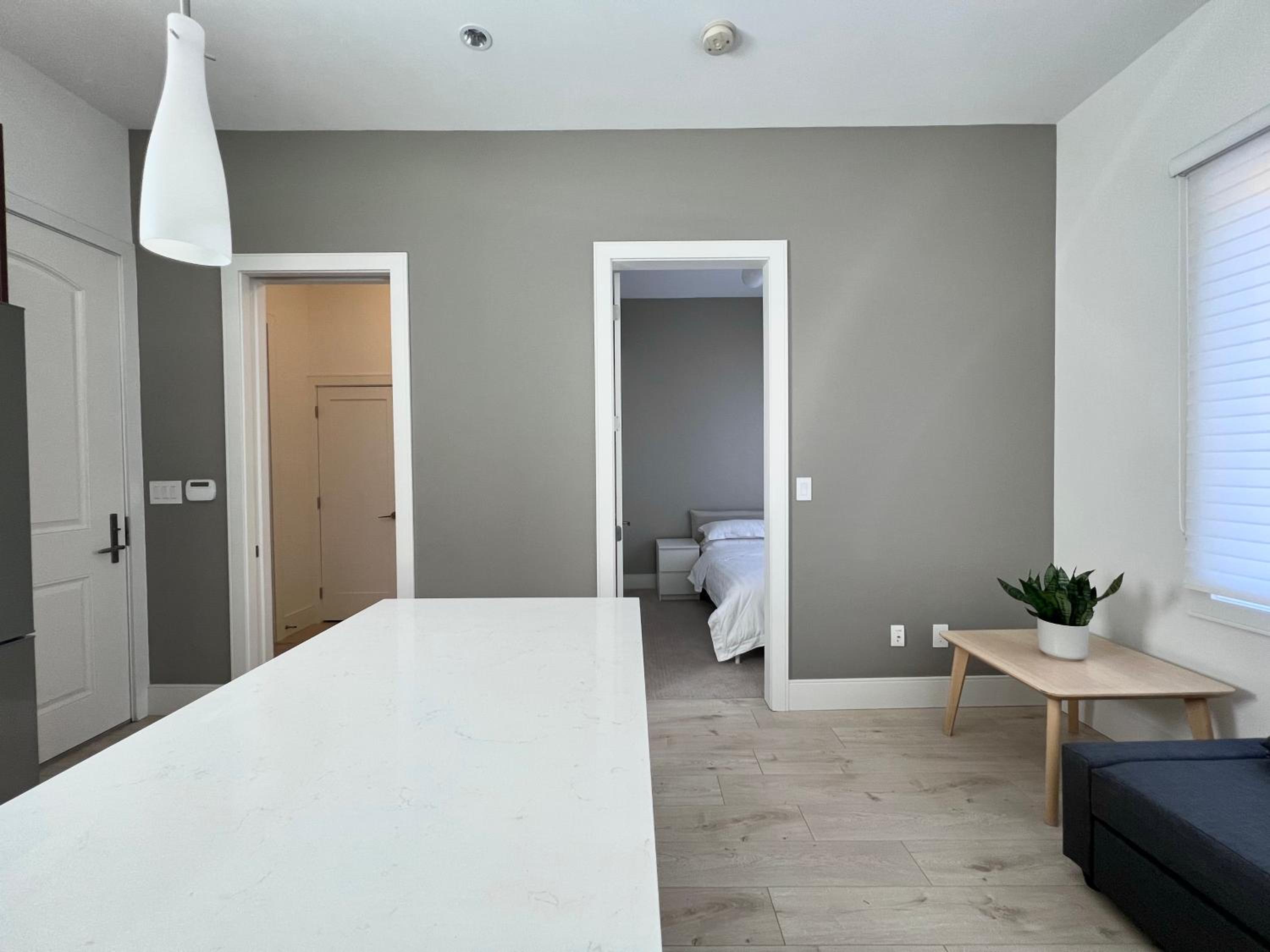 Brand New Modern Laneway House
