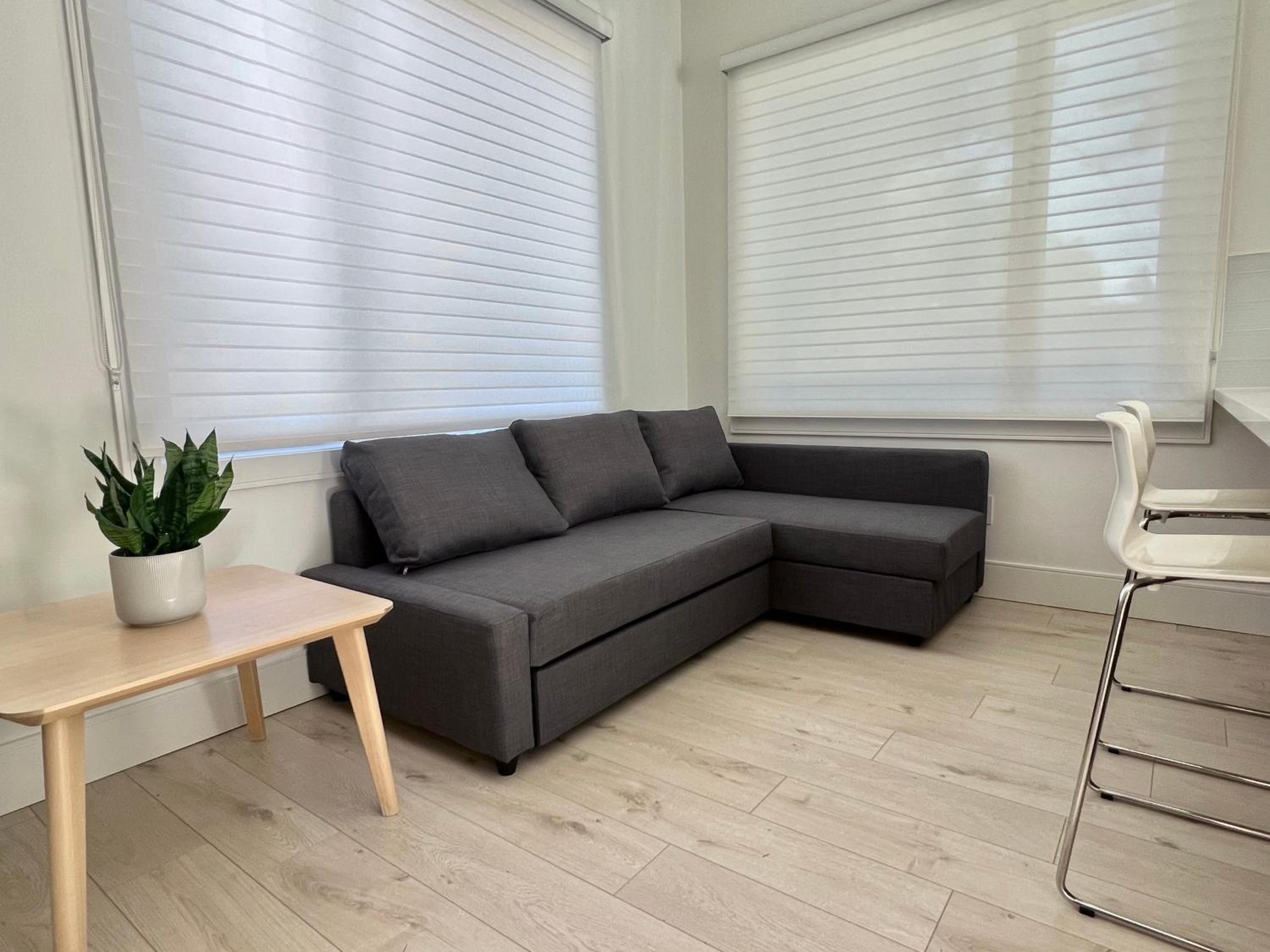 Brand New Modern Laneway House