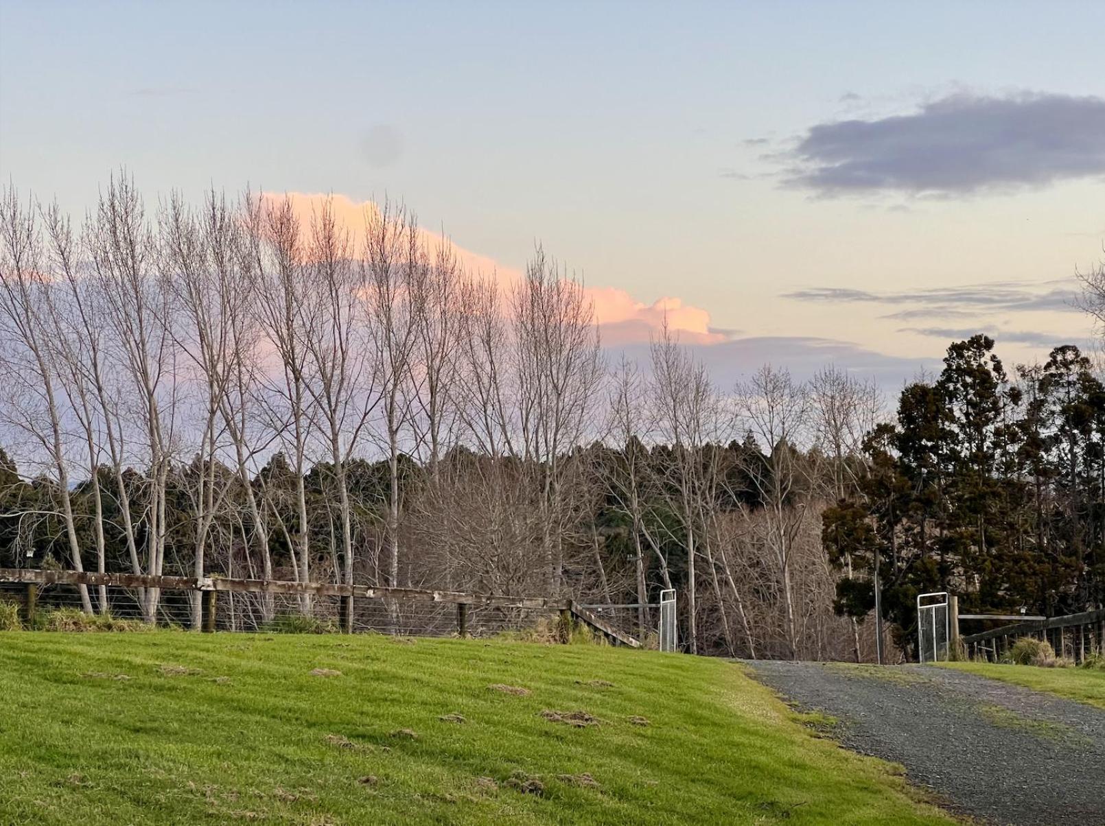 Ranfurly holiday home