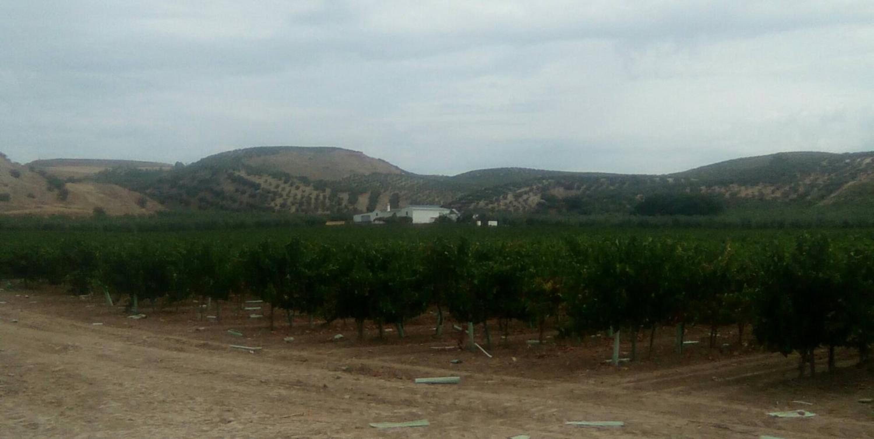 Charming House with Pool in Montilla