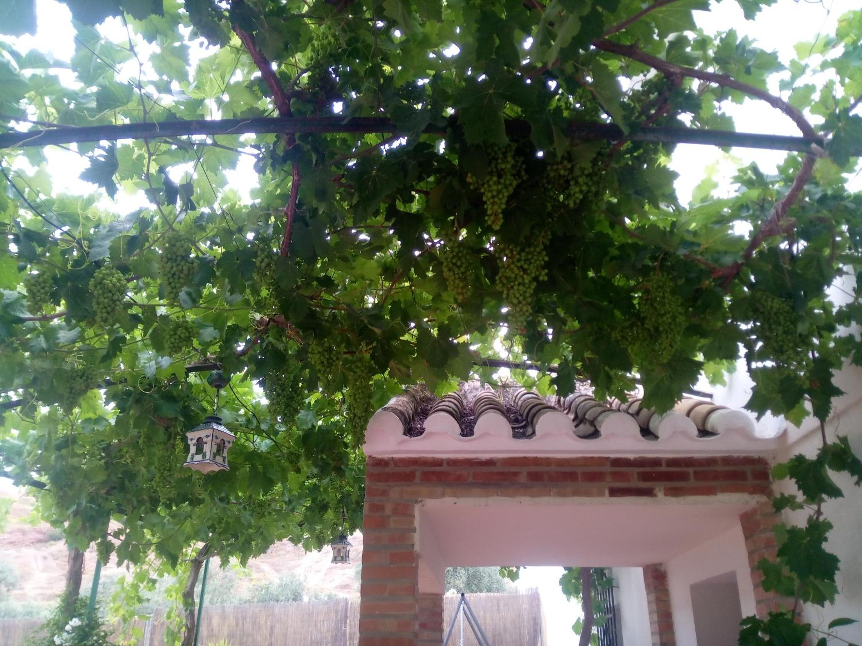 Charming House with Pool in Montilla