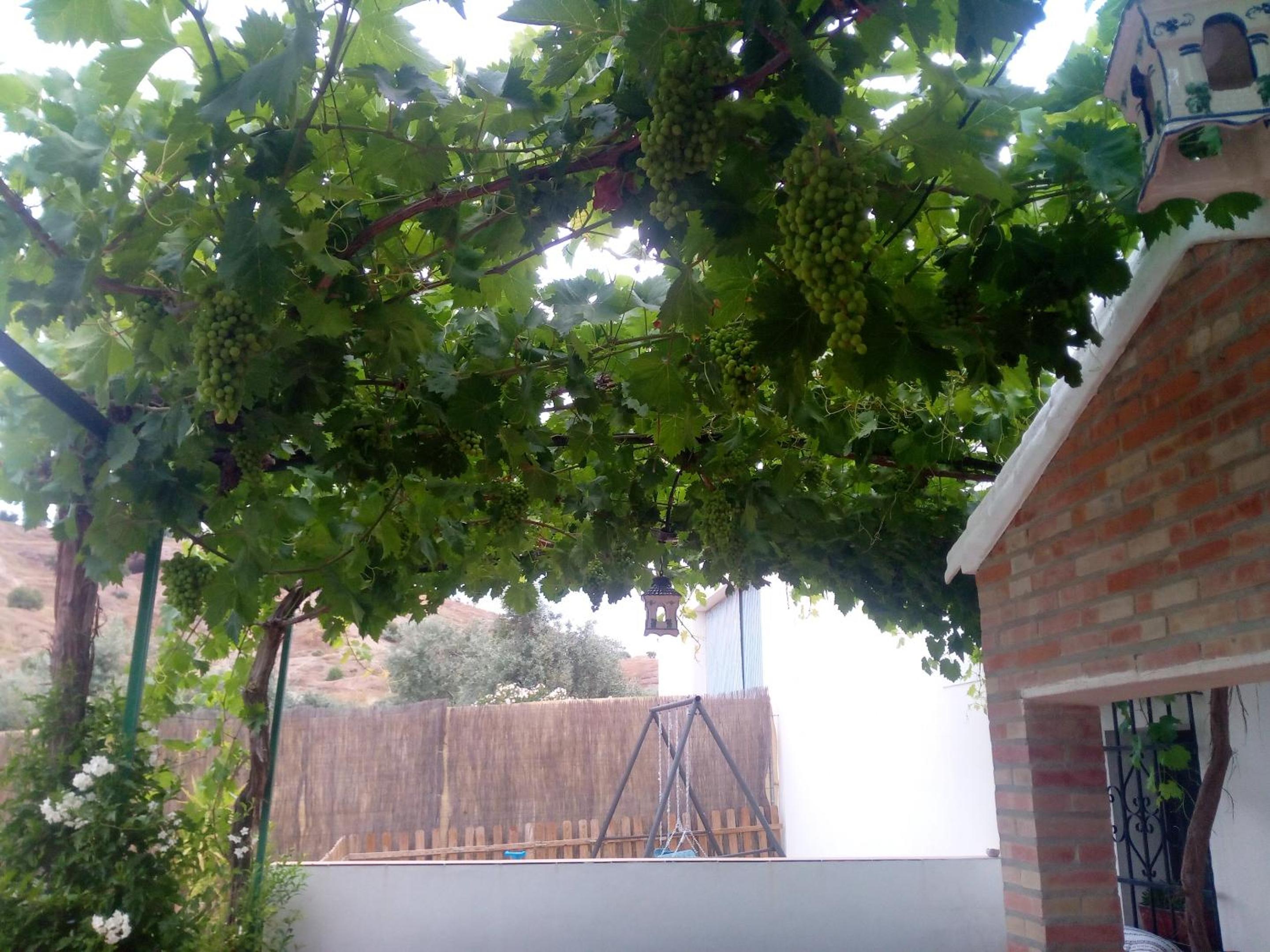Charming House with Pool in Montilla