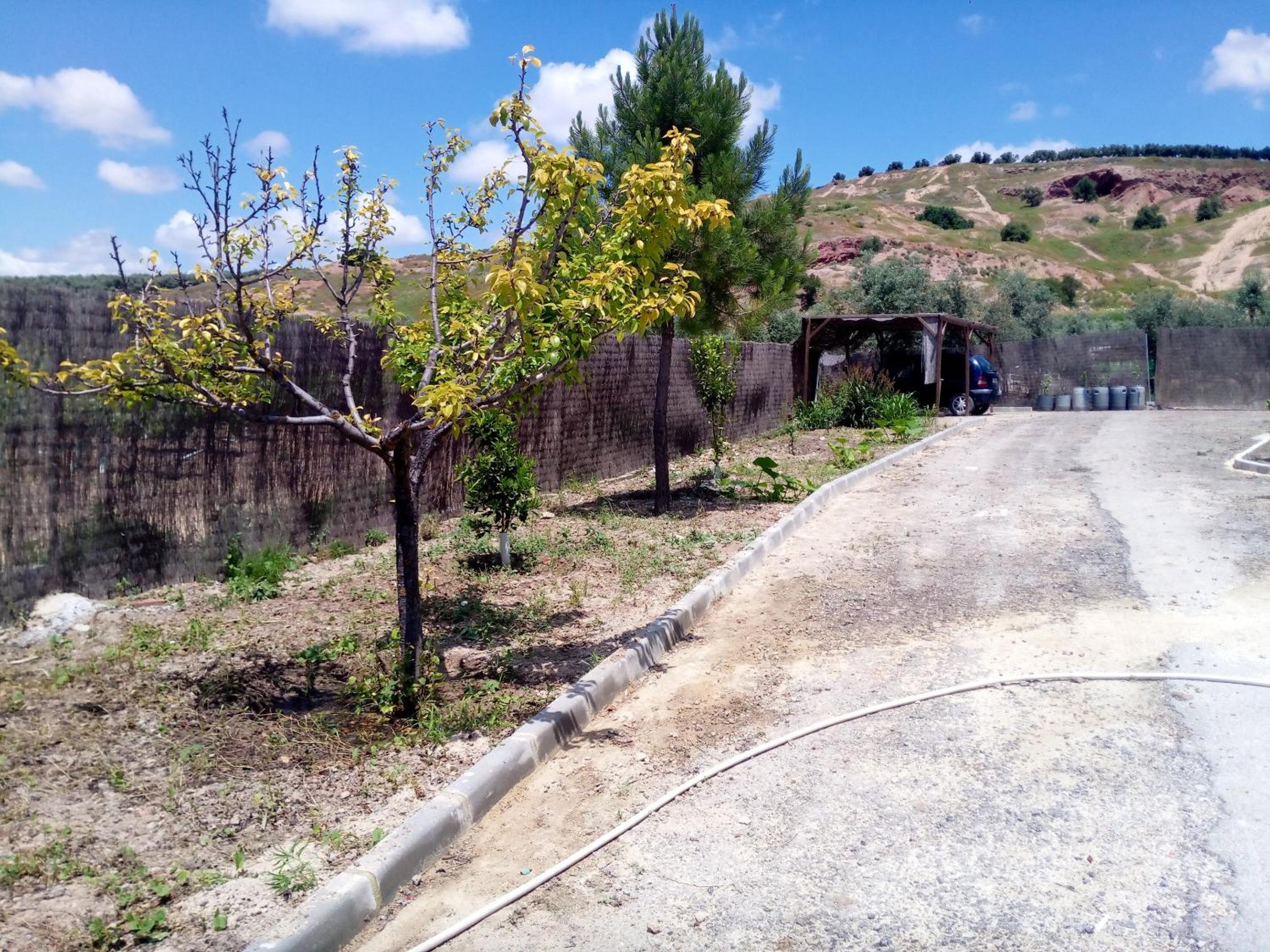 Charming House with Pool in Montilla