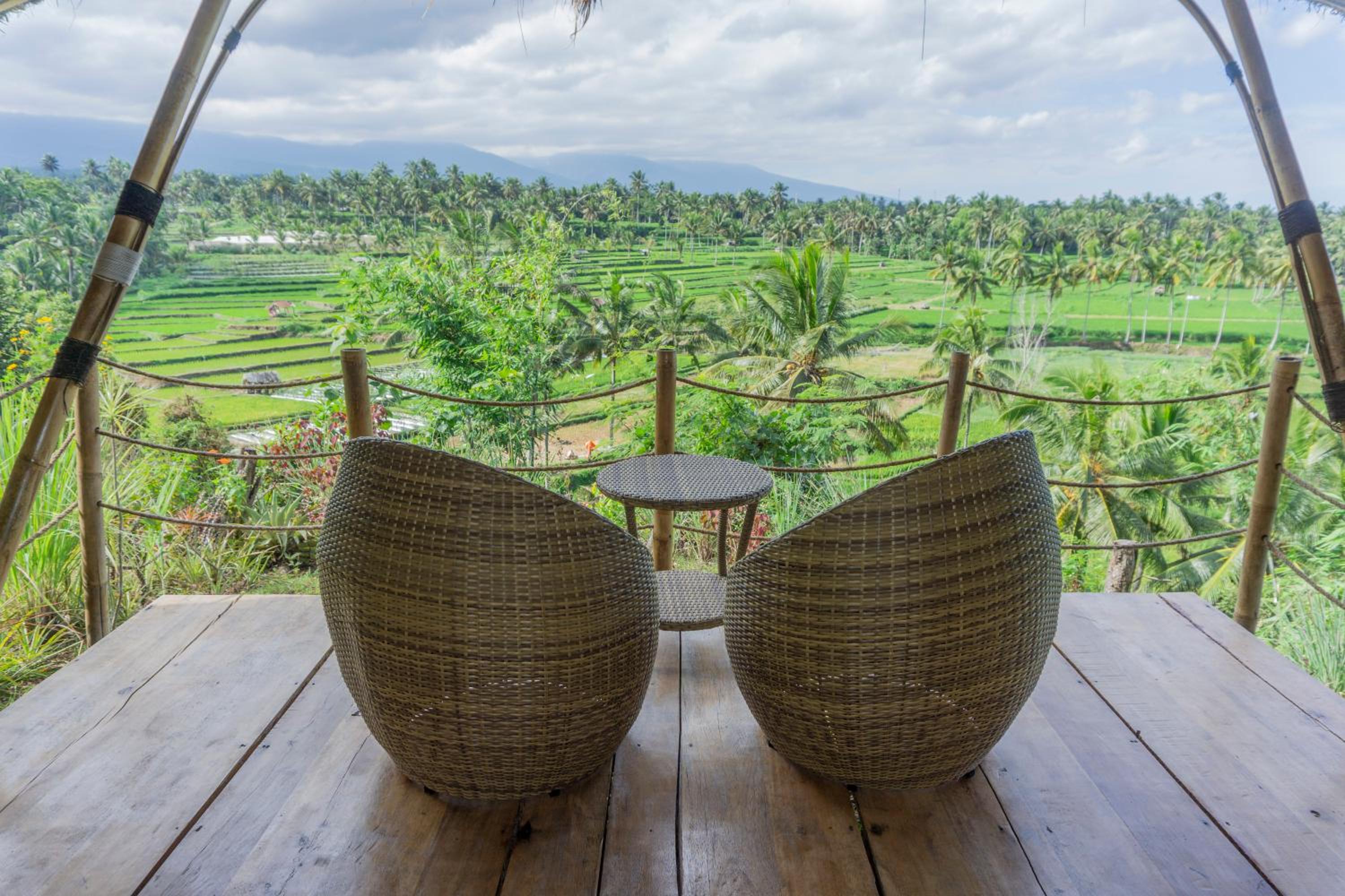 Aranka Tempasan