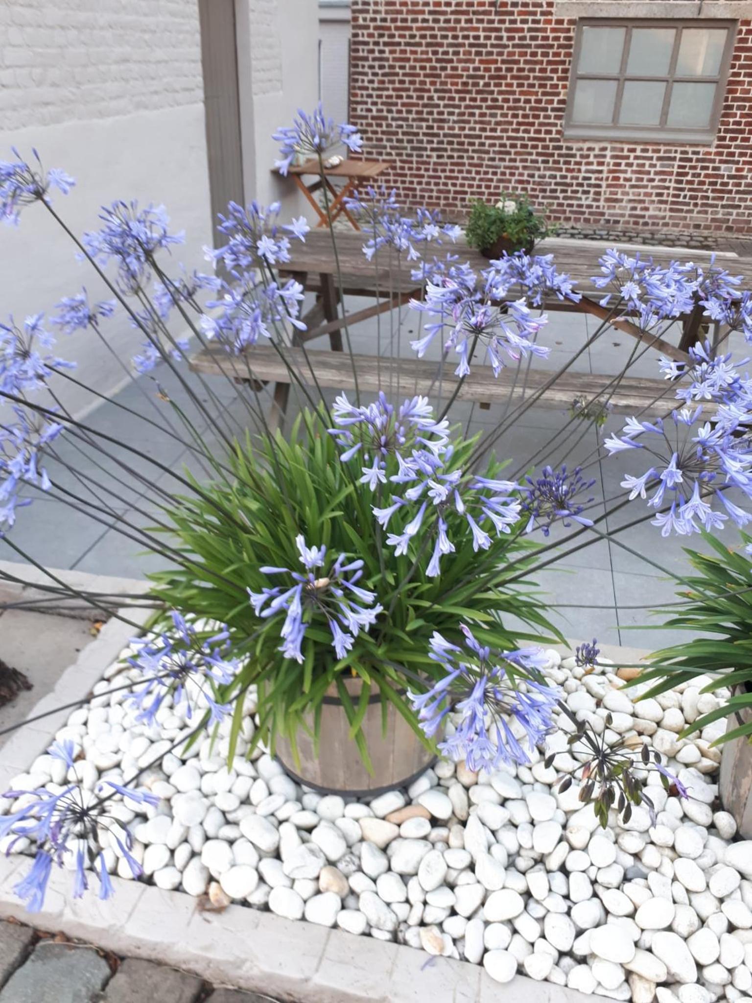 Natuurschoon Vakantiewoning Moorsel