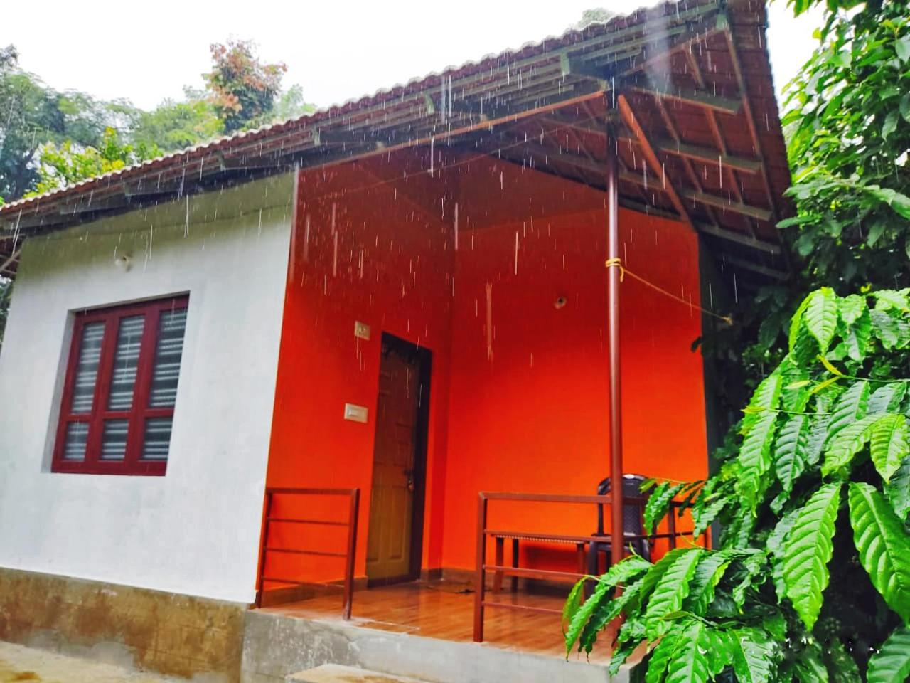 Darimane Homestay