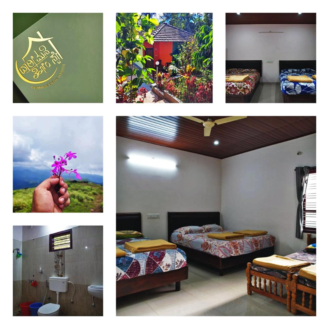 Darimane Homestay
