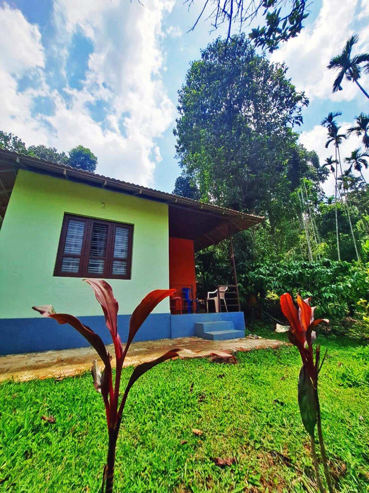 Darimane Homestay