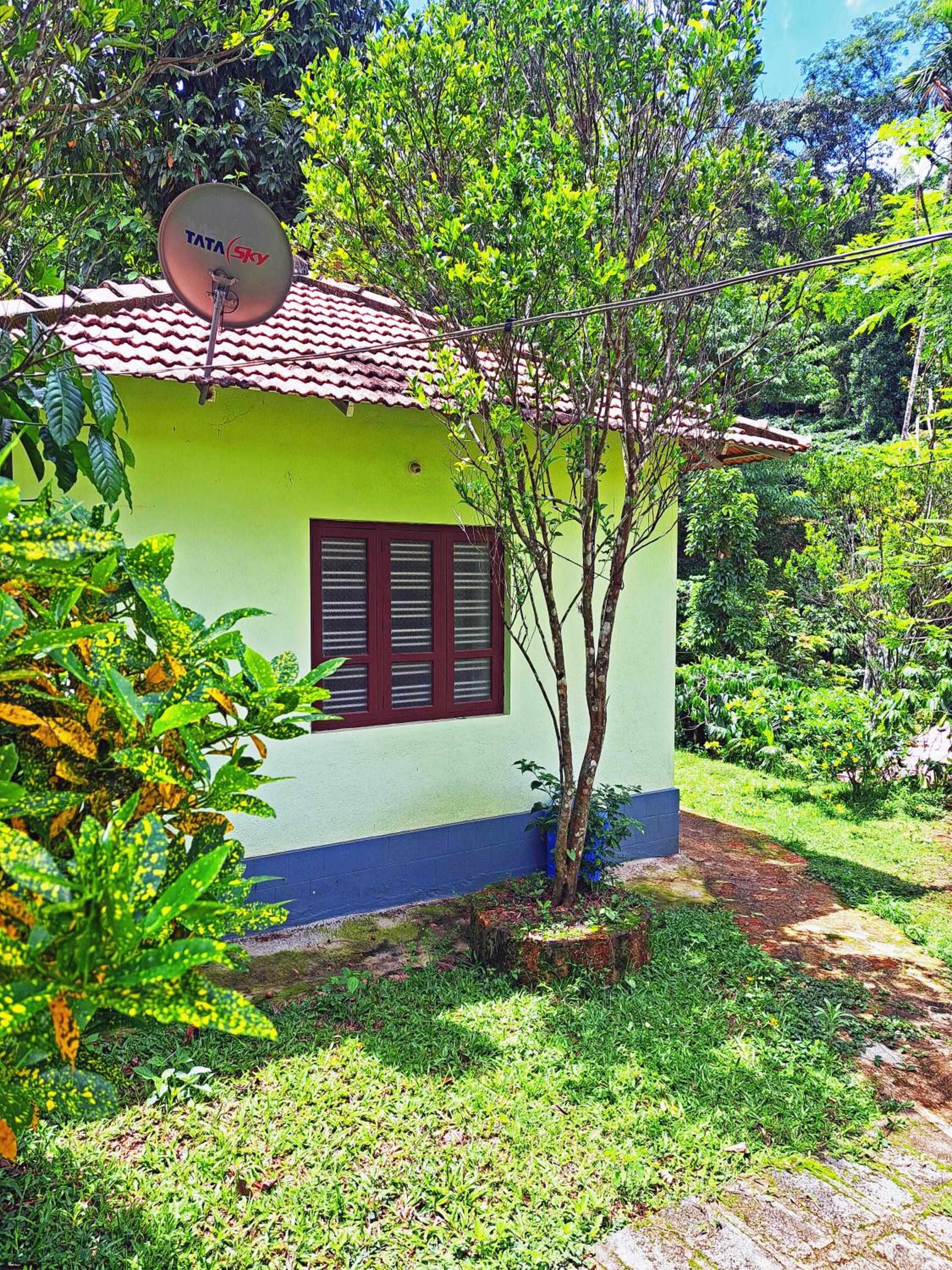 Darimane Homestay
