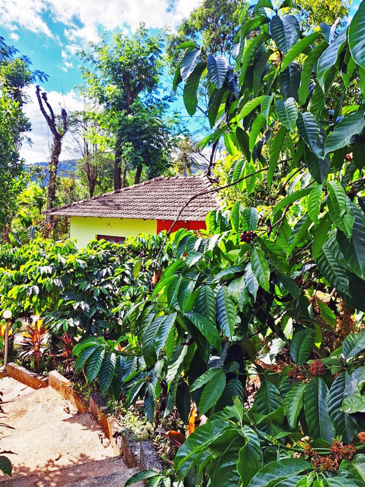 Darimane Homestay