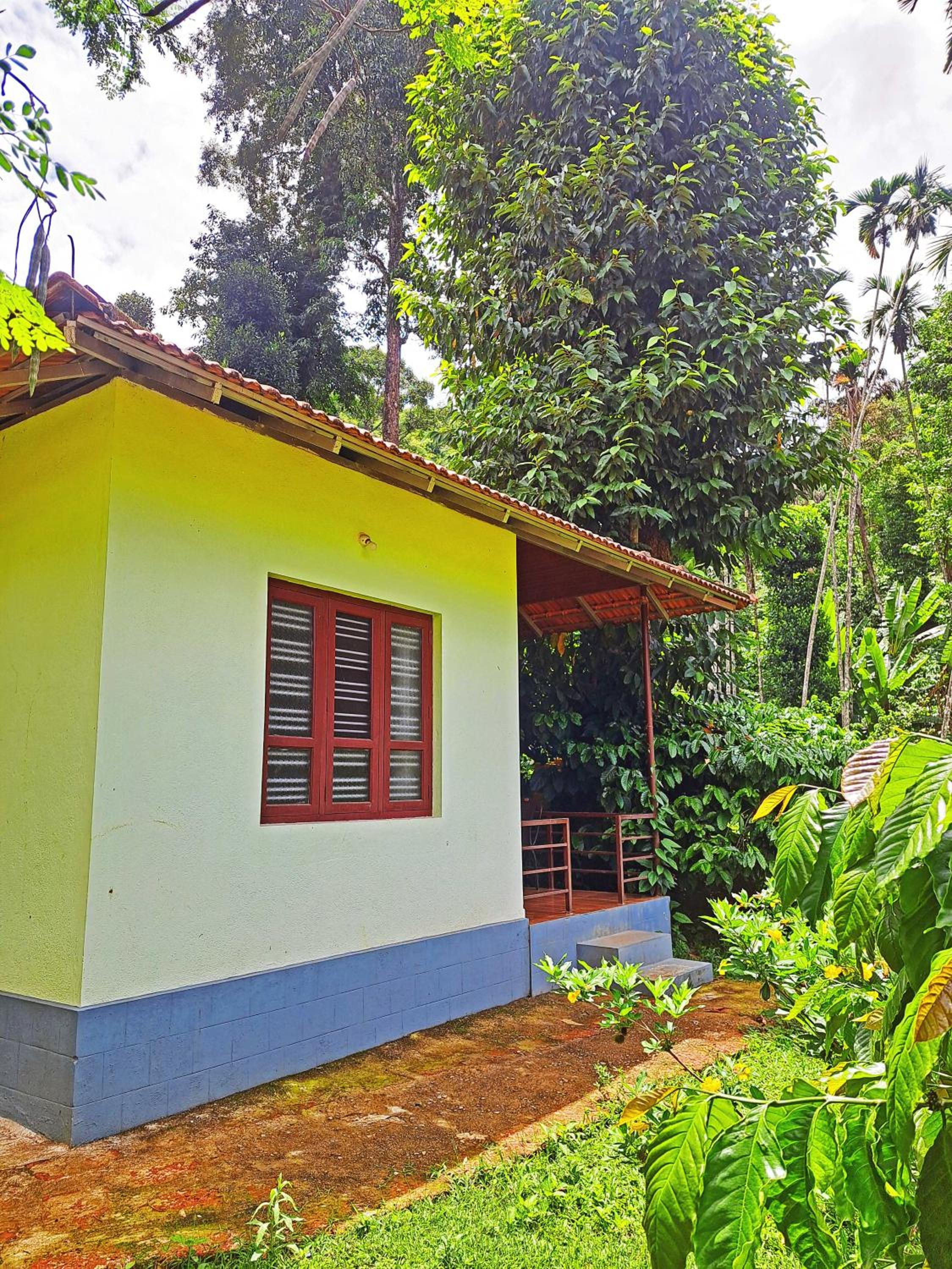 Darimane Homestay