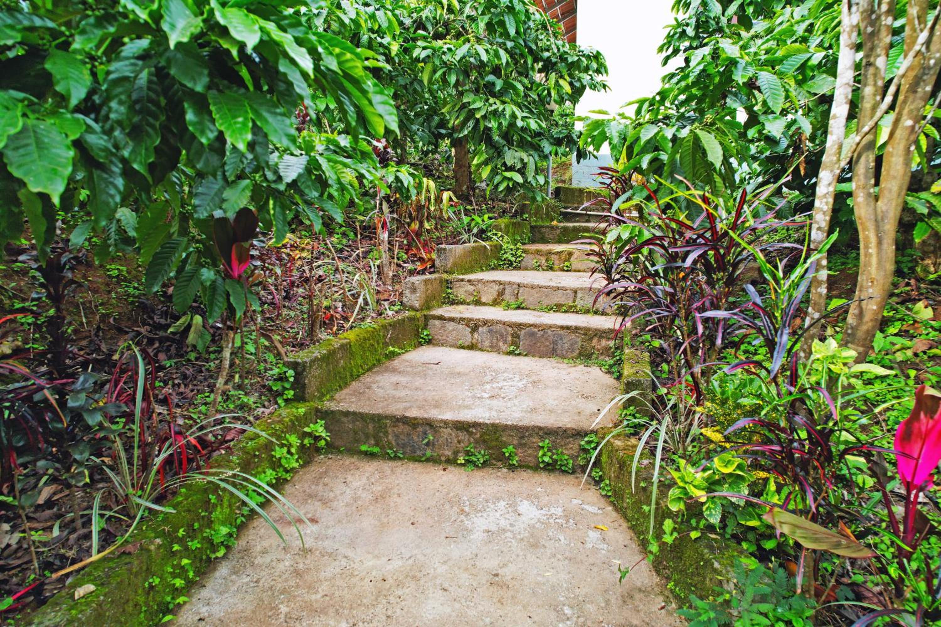 Darimane Homestay
