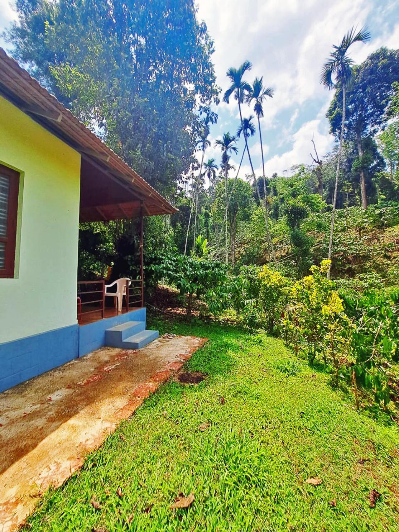 Darimane Homestay