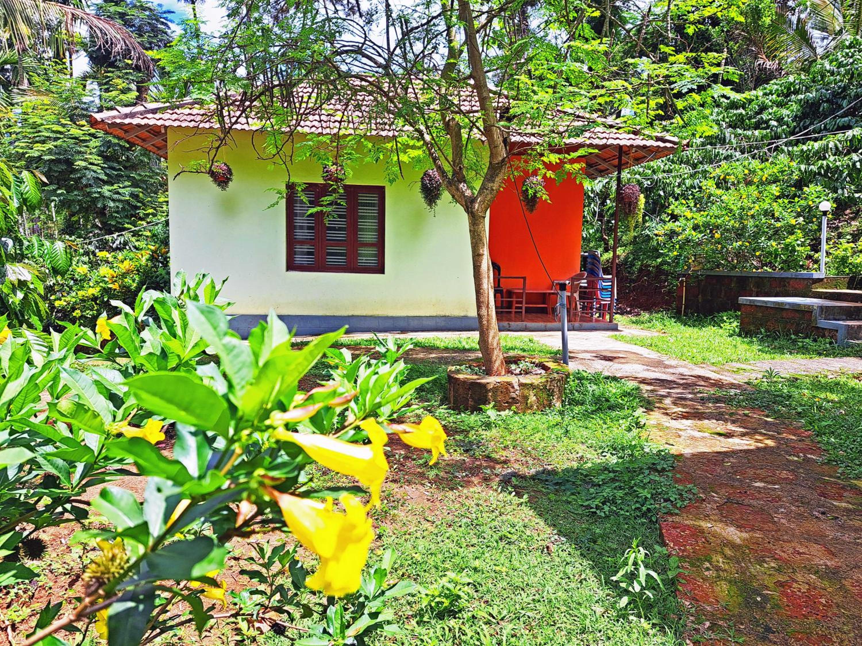Darimane Homestay