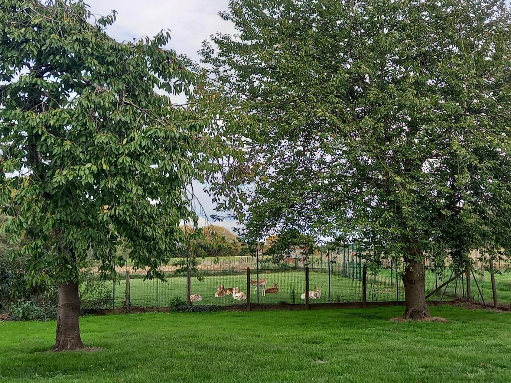 Natuurschoon Vakantiewoning Moorsel