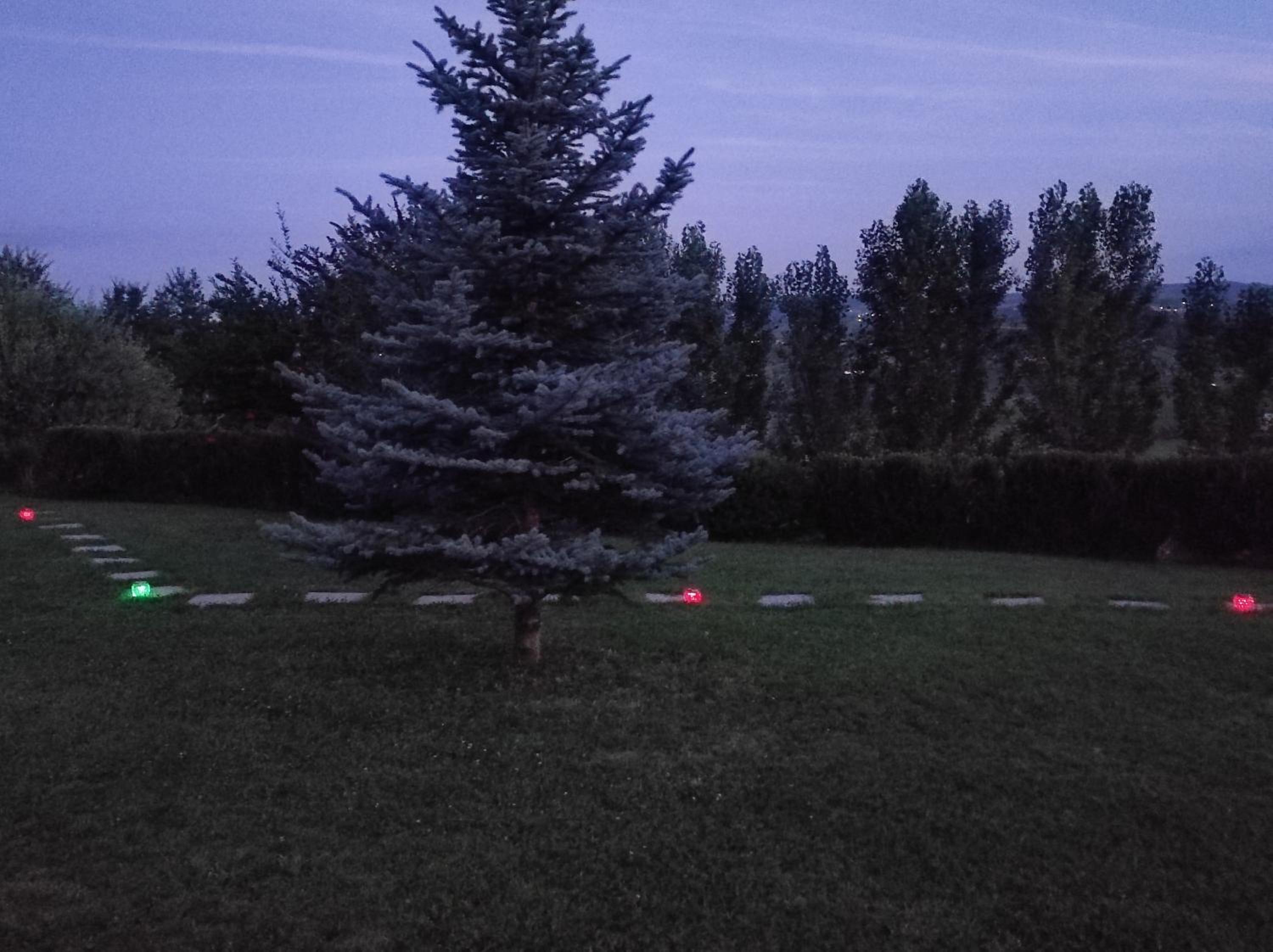 Photo 44