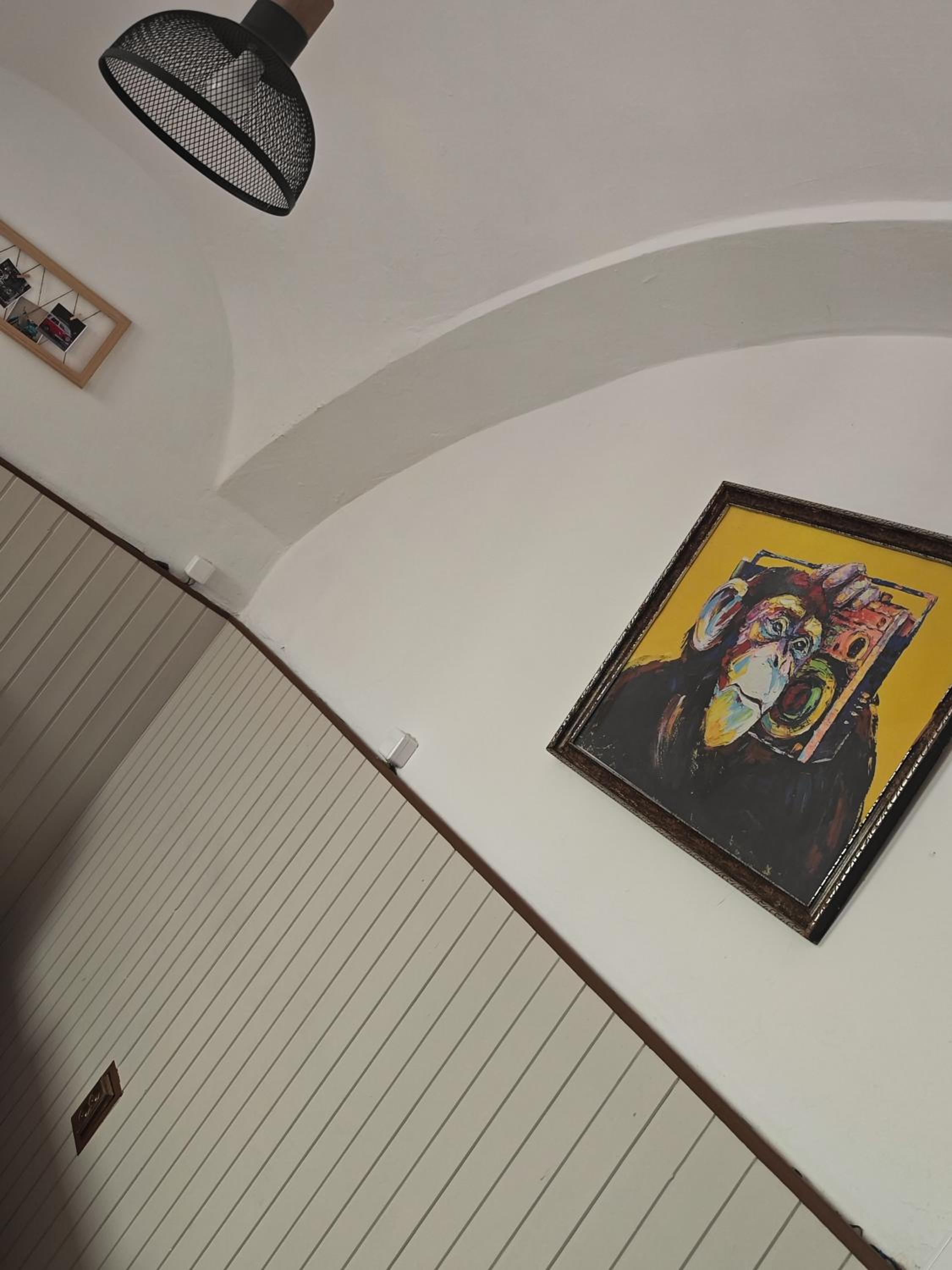 Photo 44