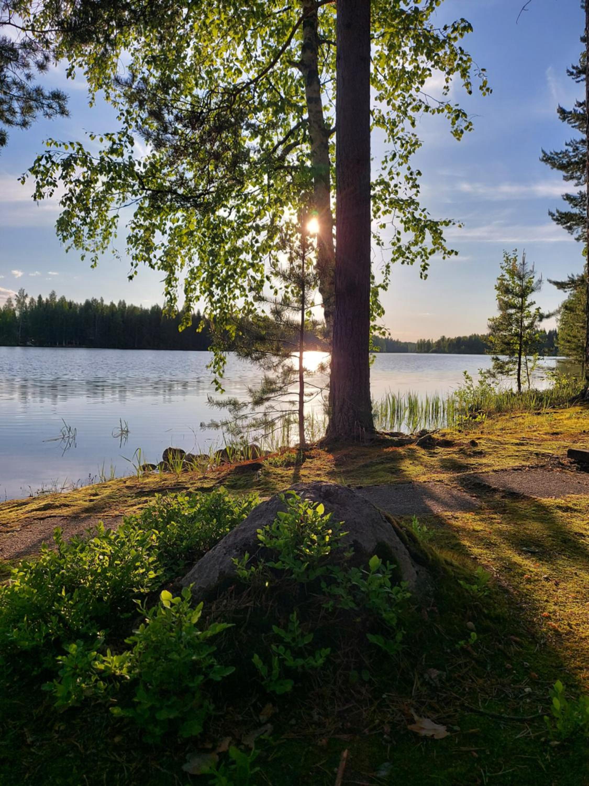 Koivurannan Lomamökit Paju