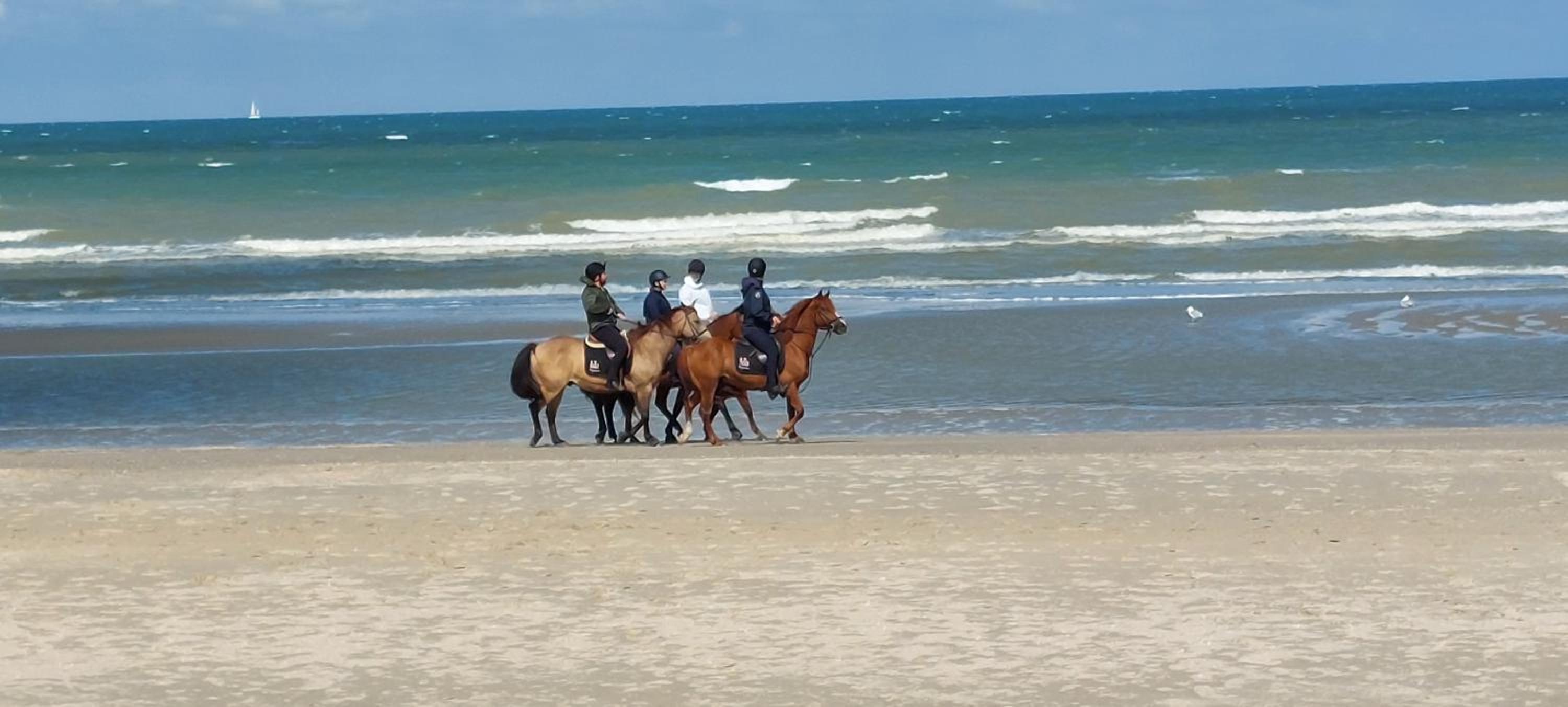 Esplanade709