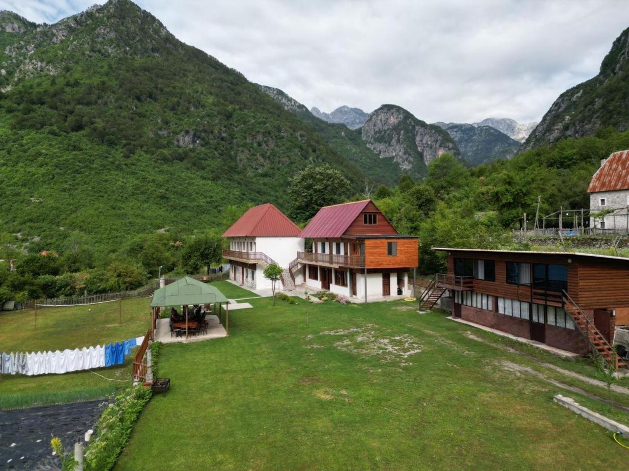 Guesthouse Driti