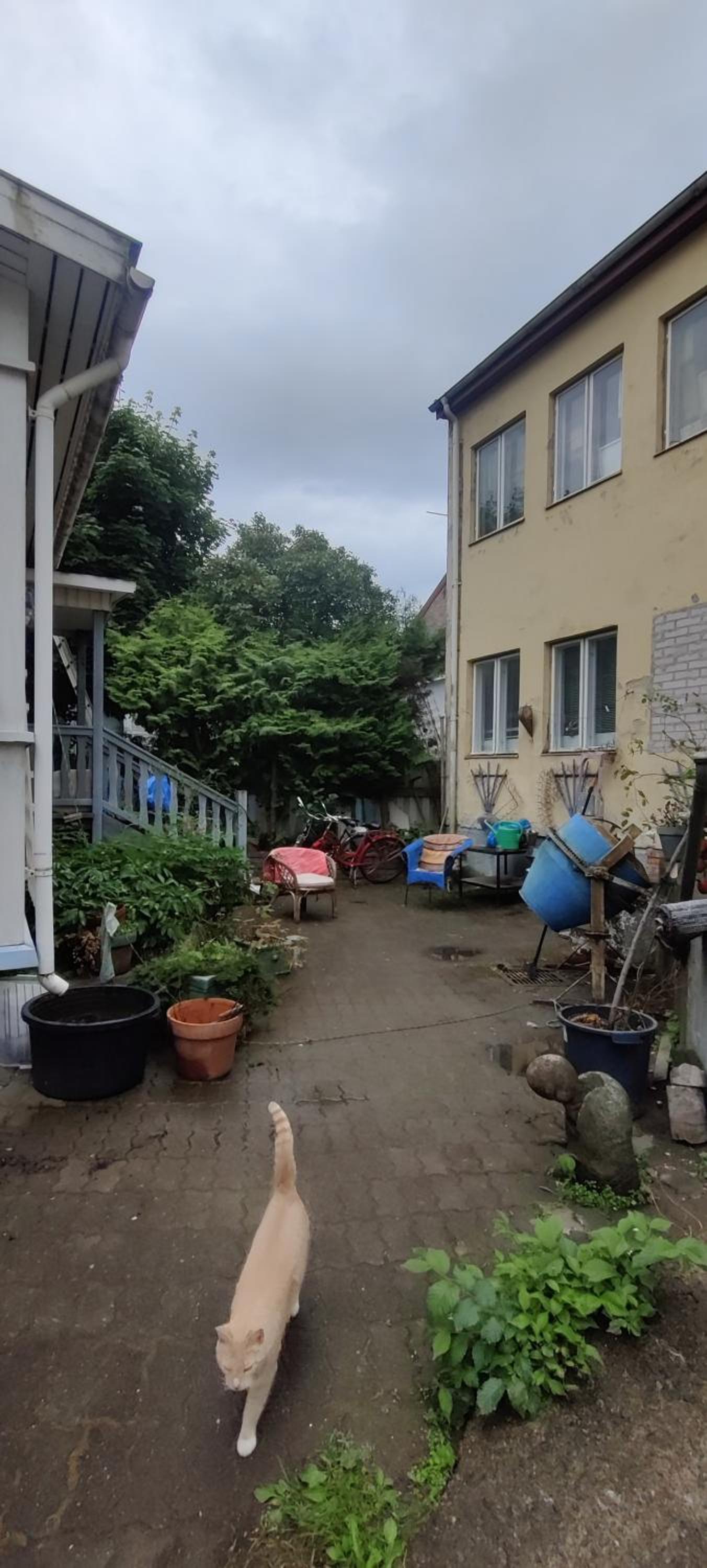 Tunnelmallinen talo Kuukkarissa