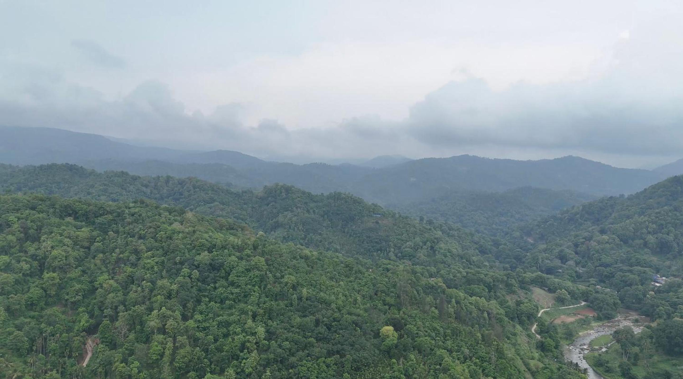 SK Paradise view 4