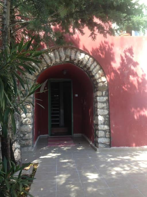 Photo 20