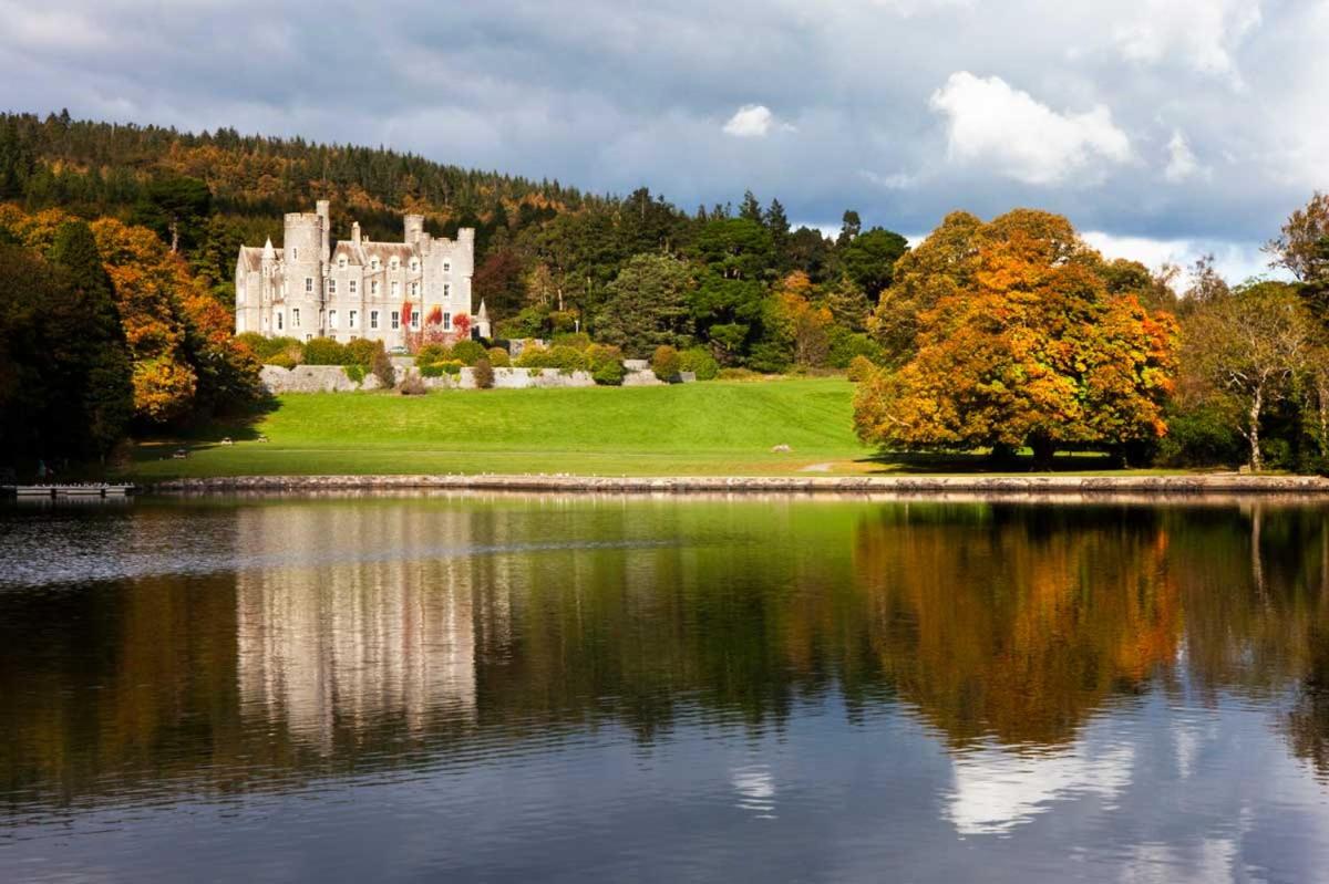 Oaktree Manor - BBQ, games rooms and pet friendly