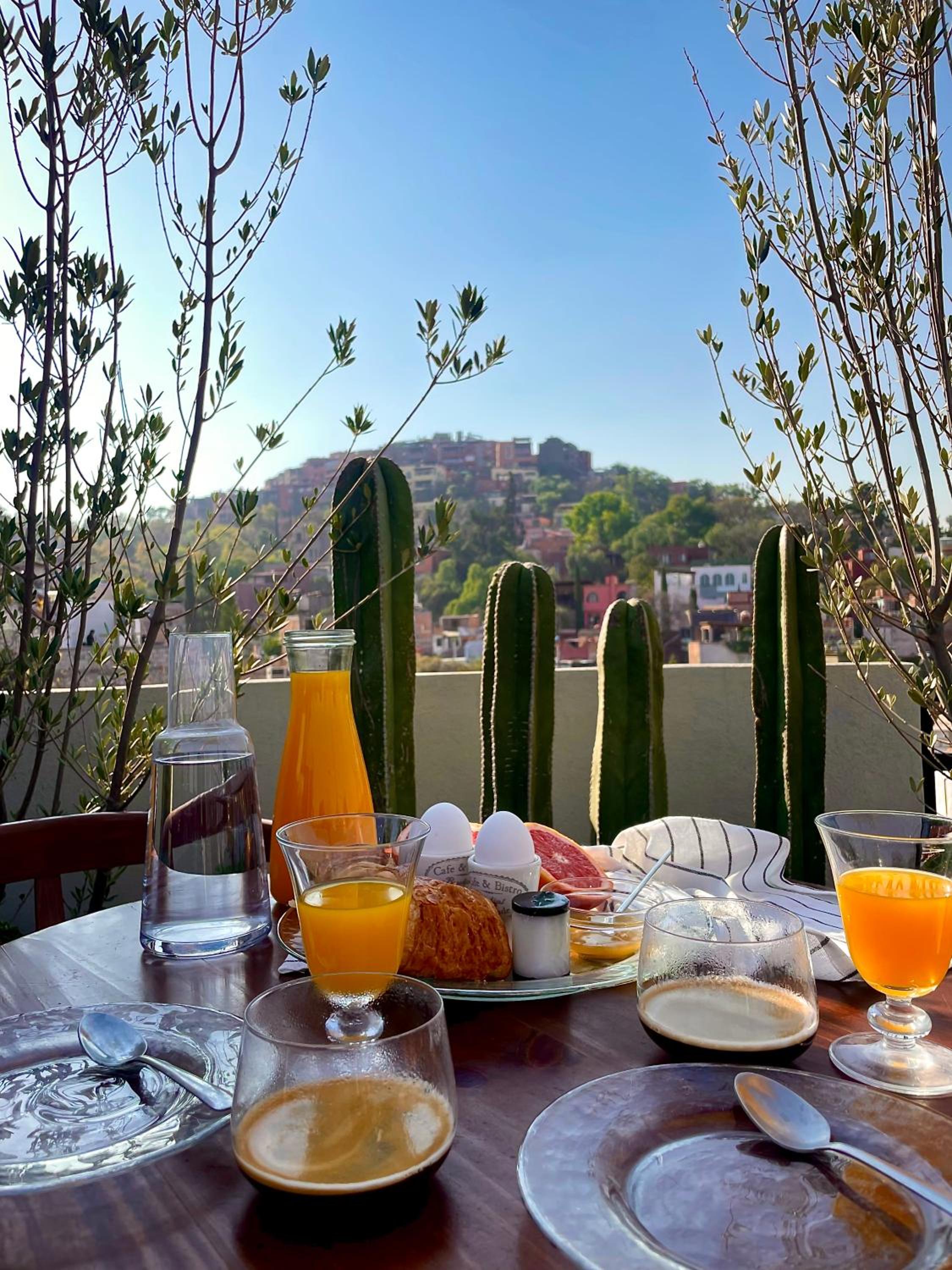 balance & terrace