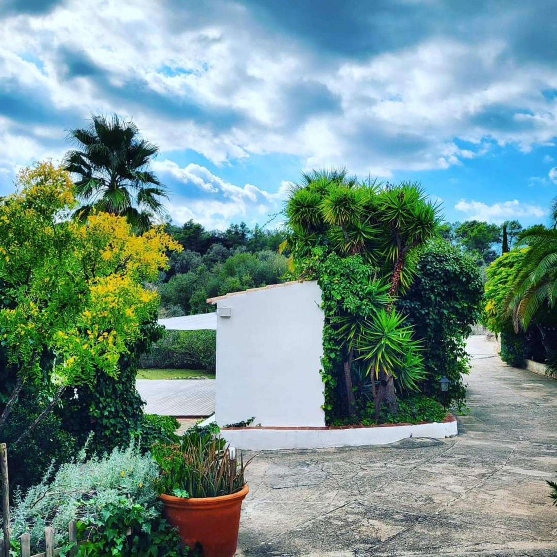 Finca s'Almudaina - Holiday - Retreat photo 3