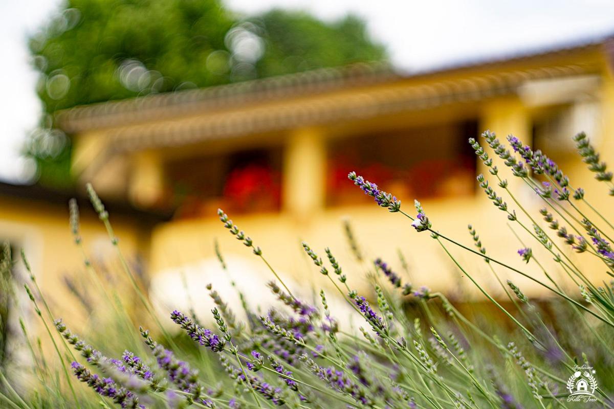 Agriturismo Kelle Terre
