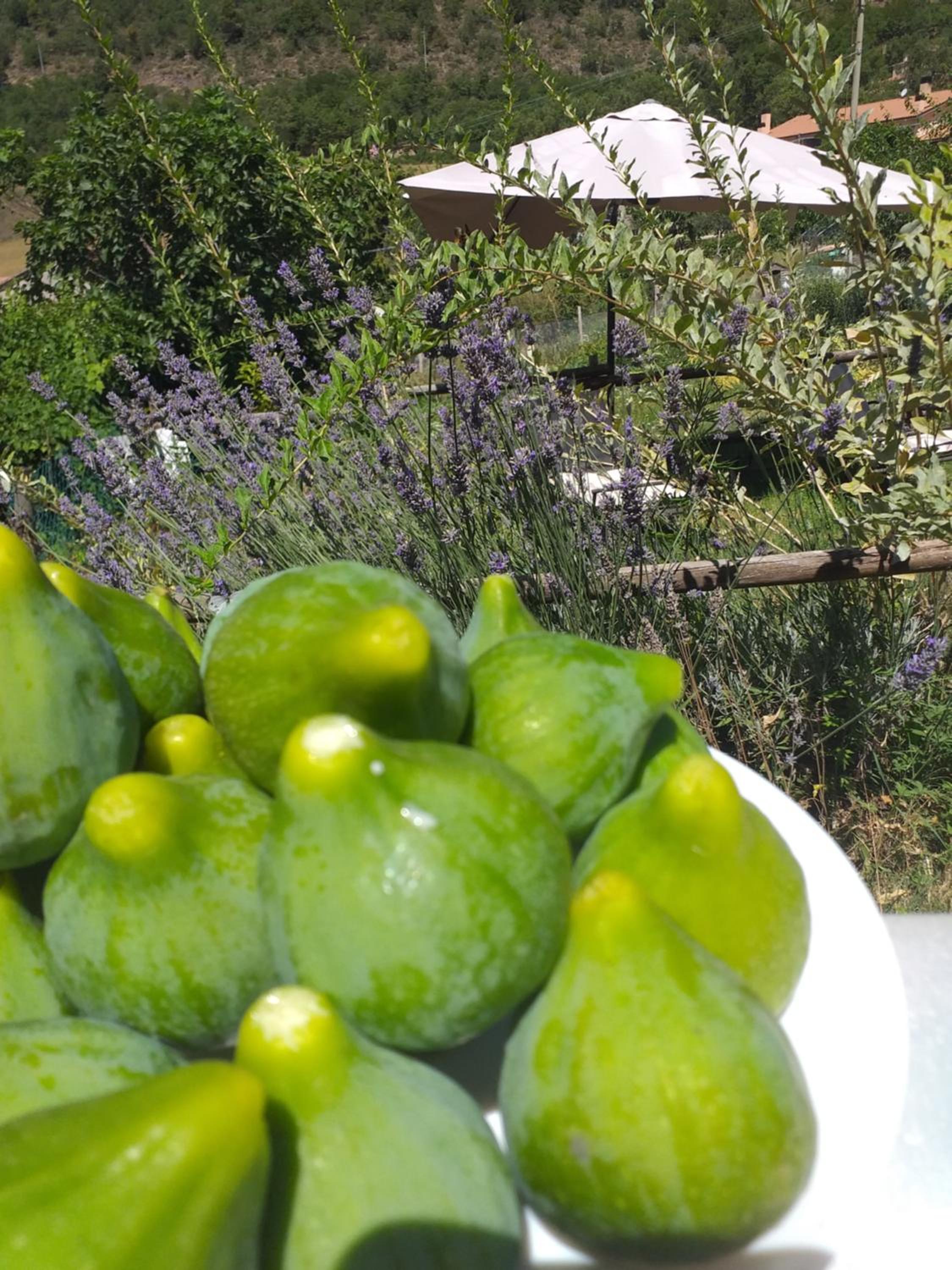 Agriturismo campagna in compagnia
