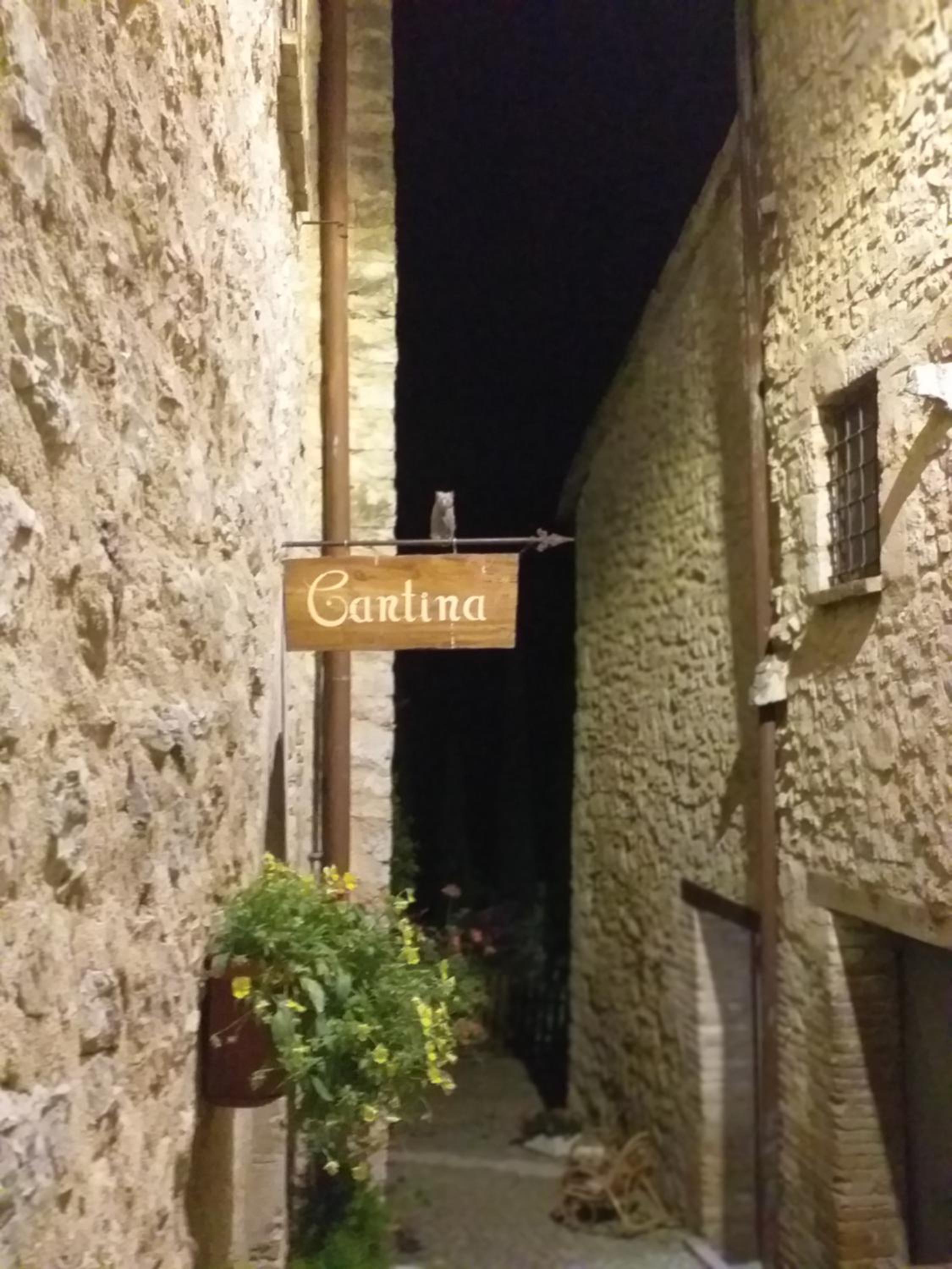 Agriturismo campagna in compagnia