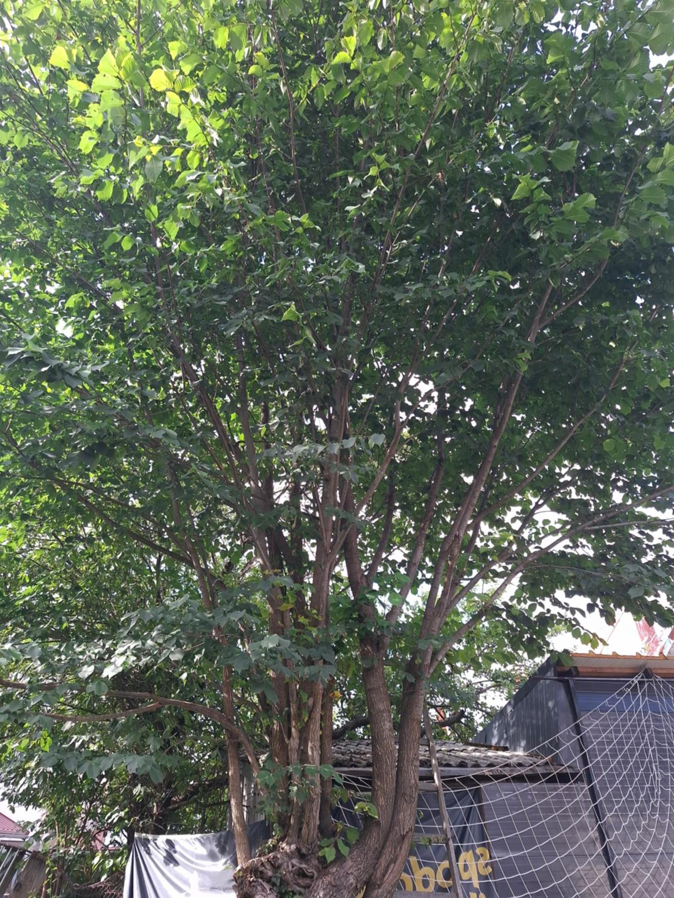 Photo 34