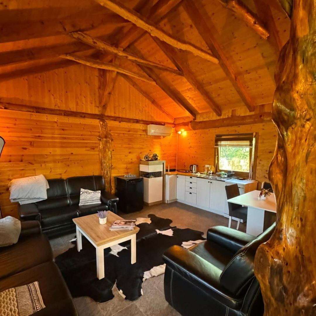 Brvnara Aurora Vista view 4
