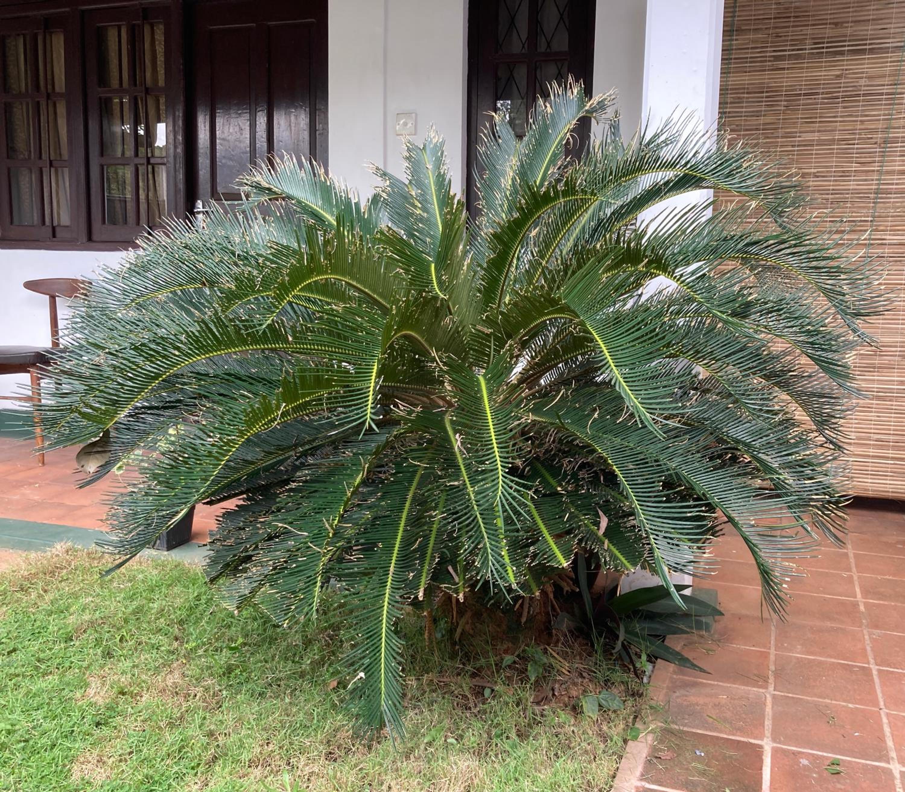 Photo 8