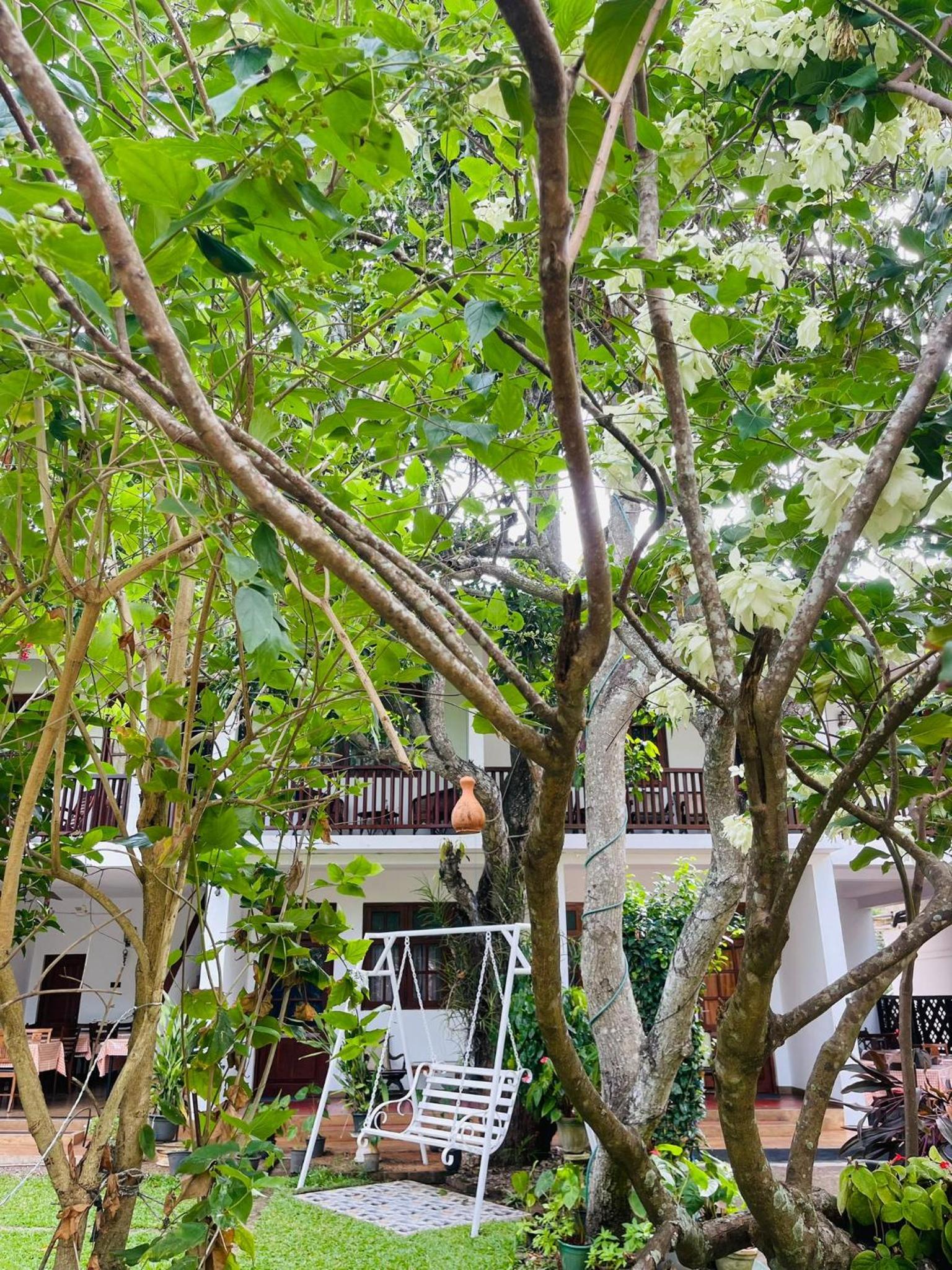Little Paradise Tourist Guest House and Holiday Home, photo 34