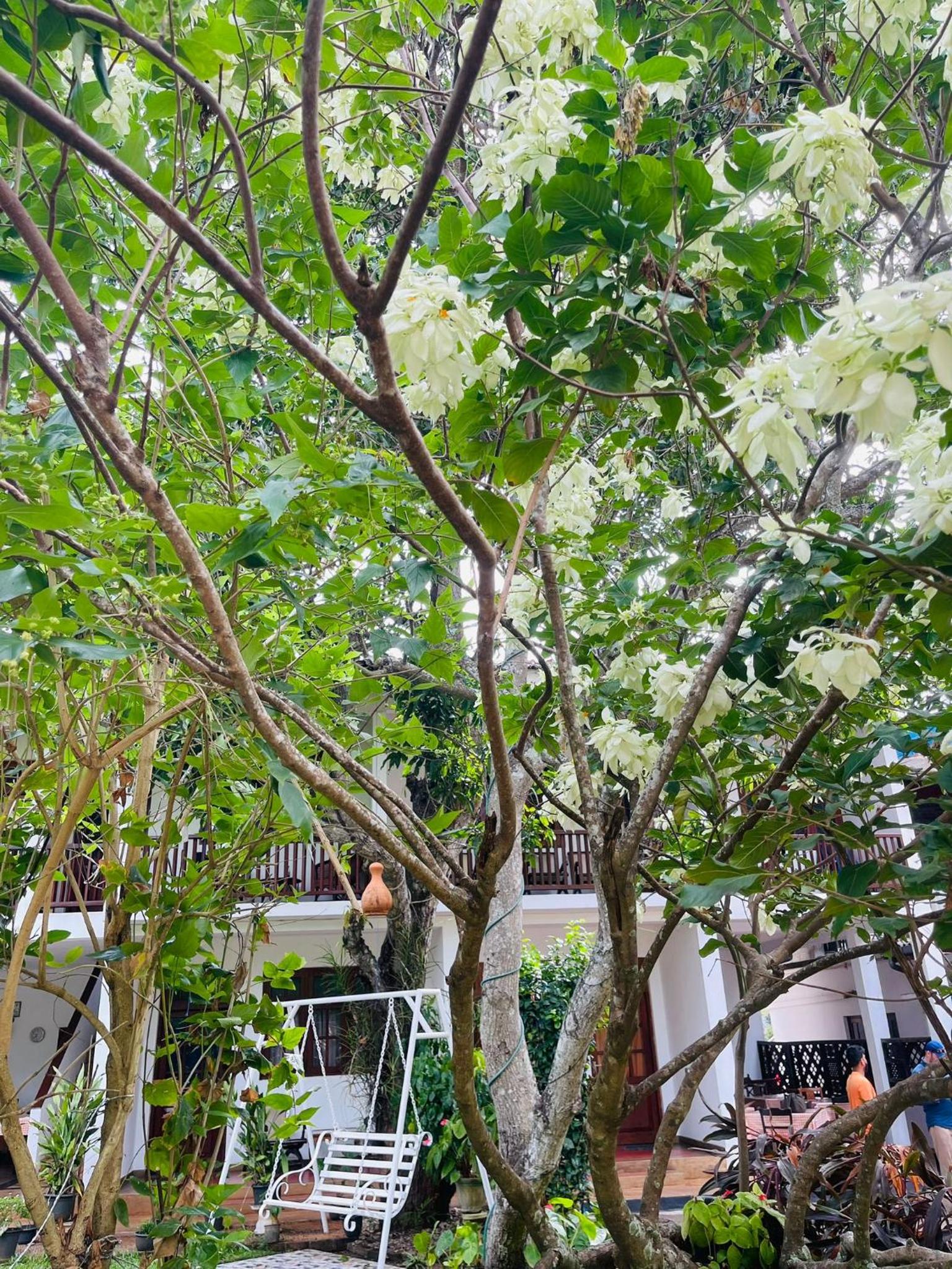 Little Paradise Tourist Guest House and Holiday Home, photo 17