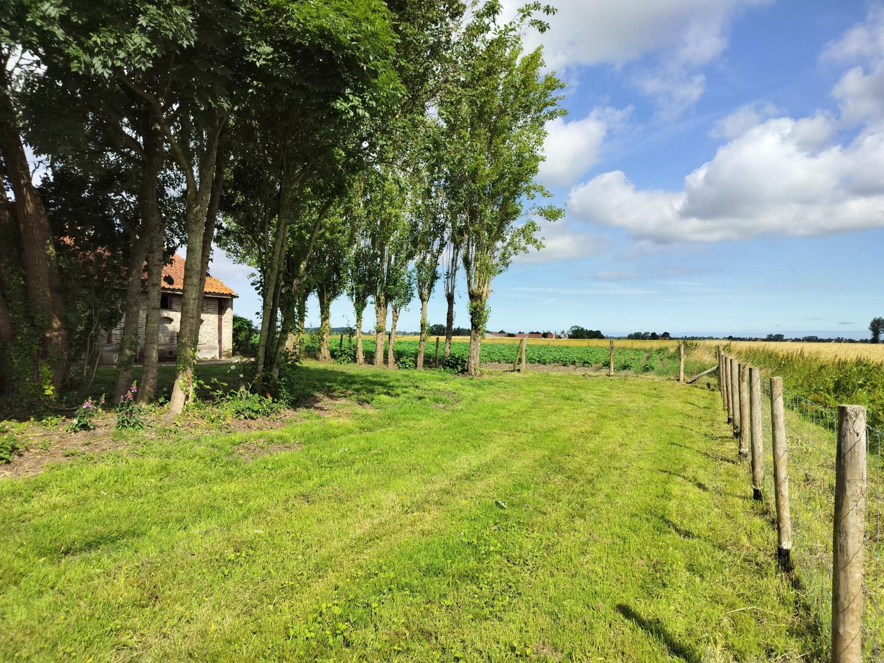 De Burg