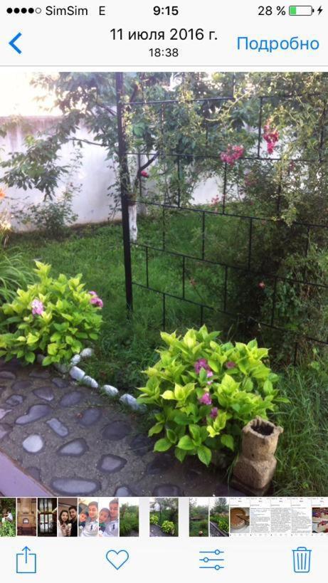Quba Villa near Forest & Lake