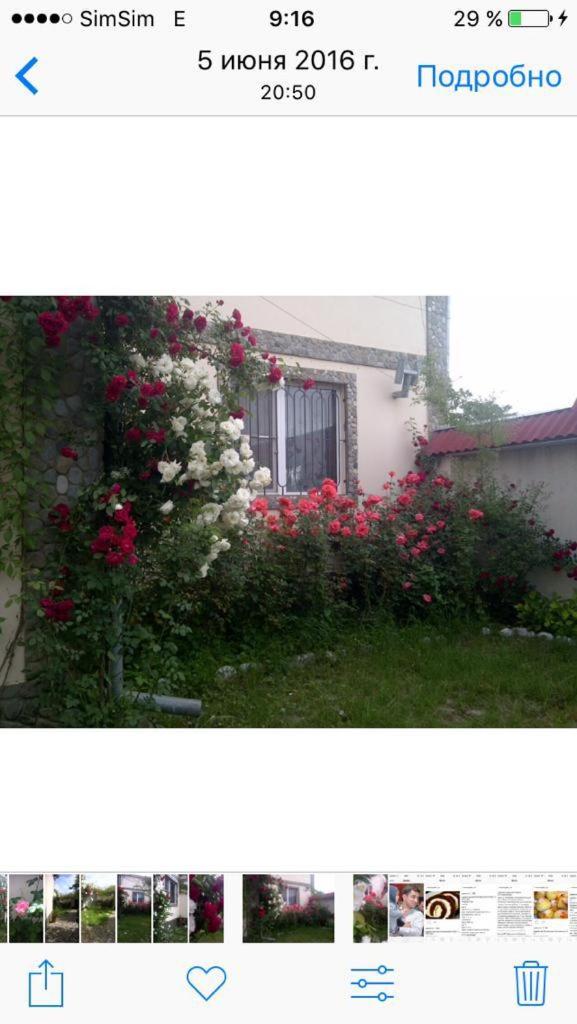 Quba Villa near Forest & Lake
