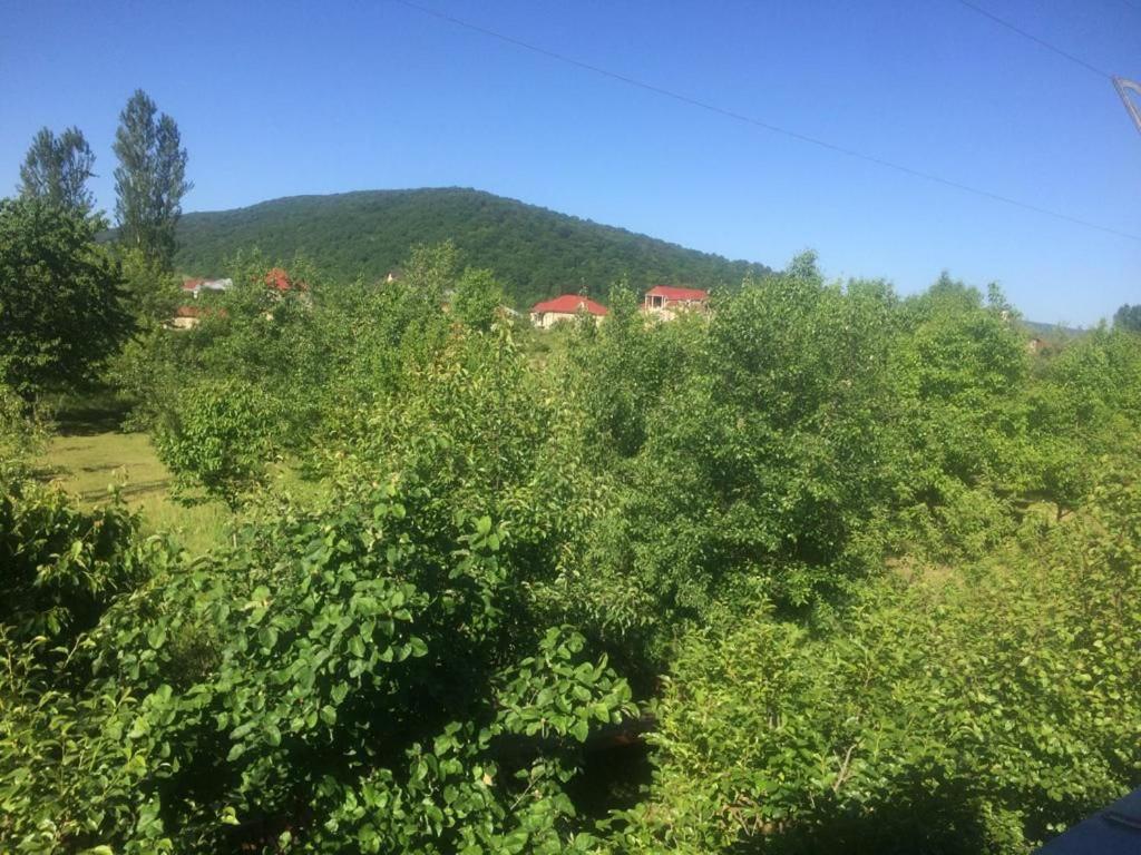 Quba Villa near Forest & Lake
