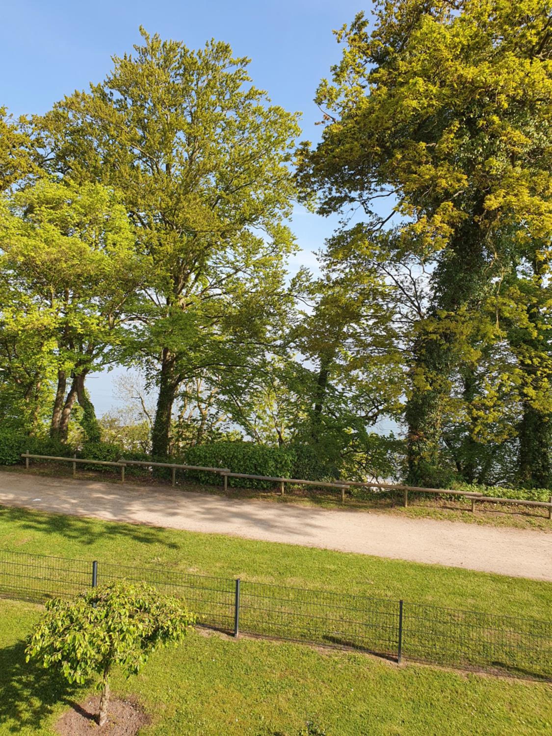 Toplage direkt an der Steilküste - FeWo 2 