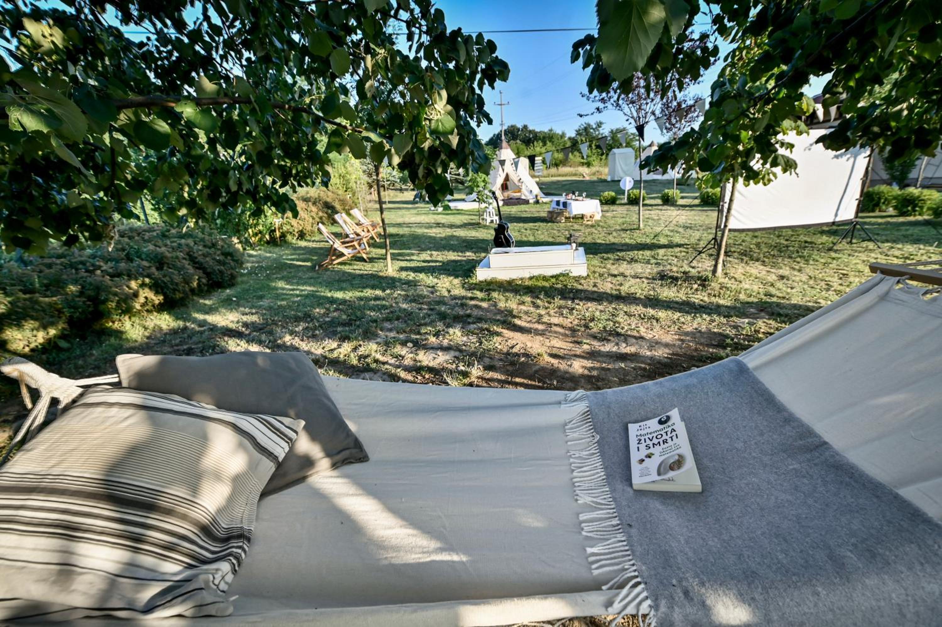 Photo 45