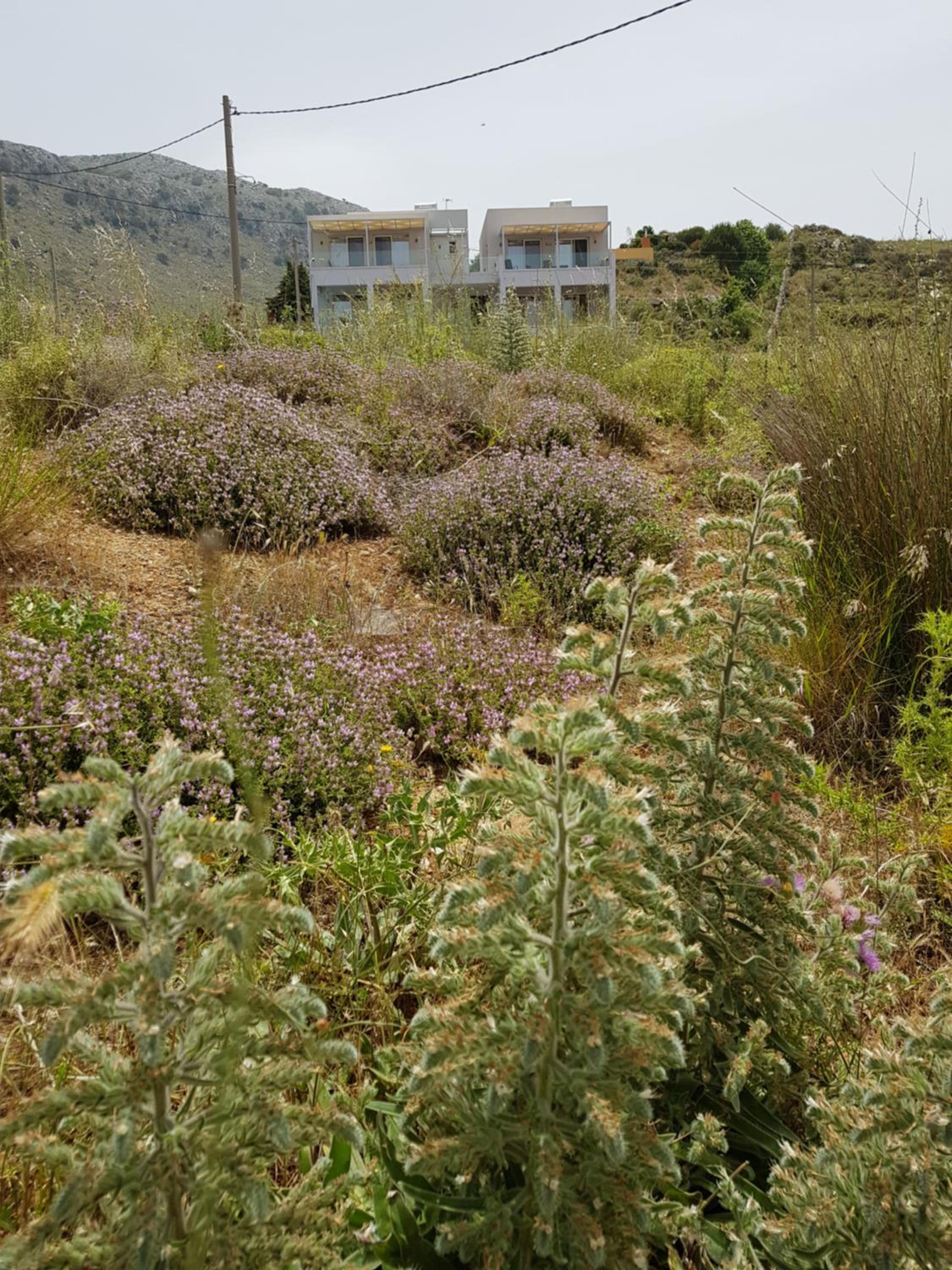 Villa P3 Paradise view 3