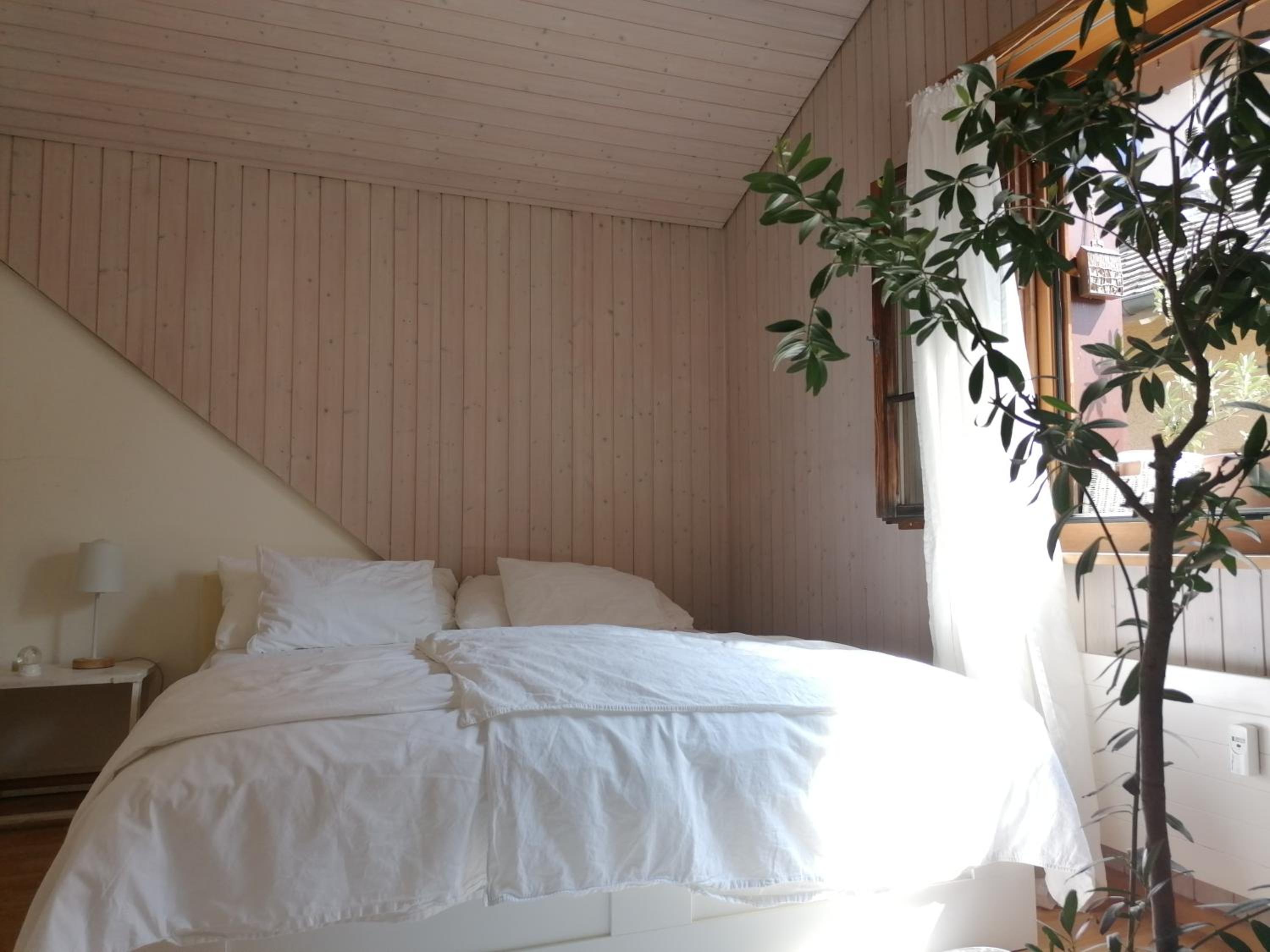 II Cozy Rooftop lakeside 18min to Zürich HB 25min to Zug