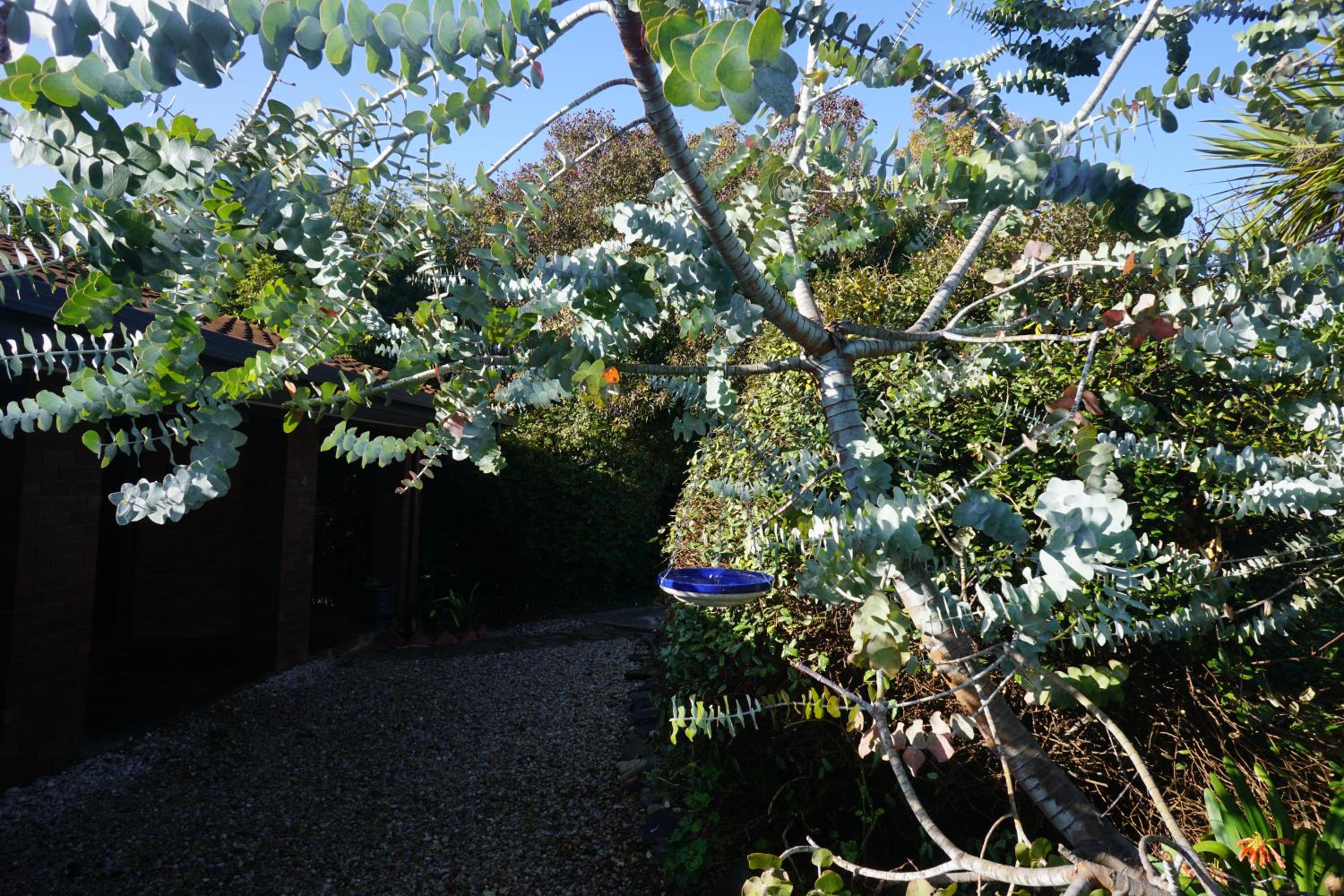 Cakebread Cottage