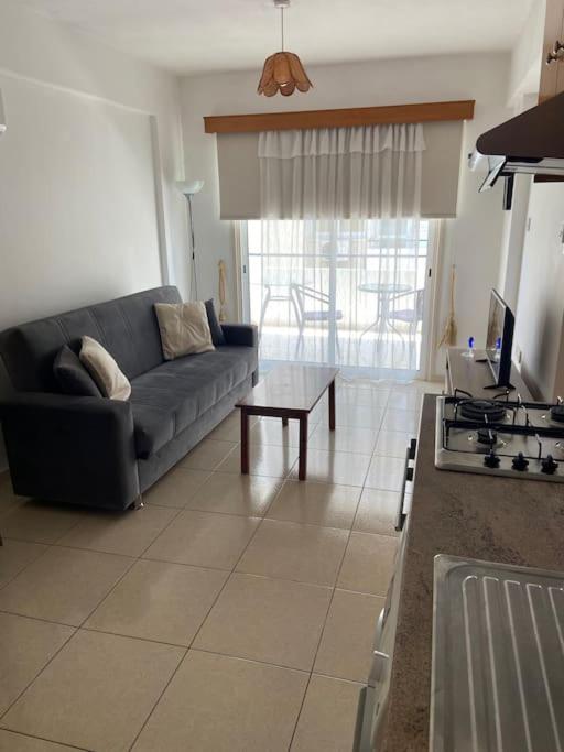 Paradise Homes 9