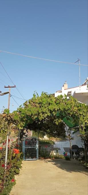Pomegranate Seaside Corner
